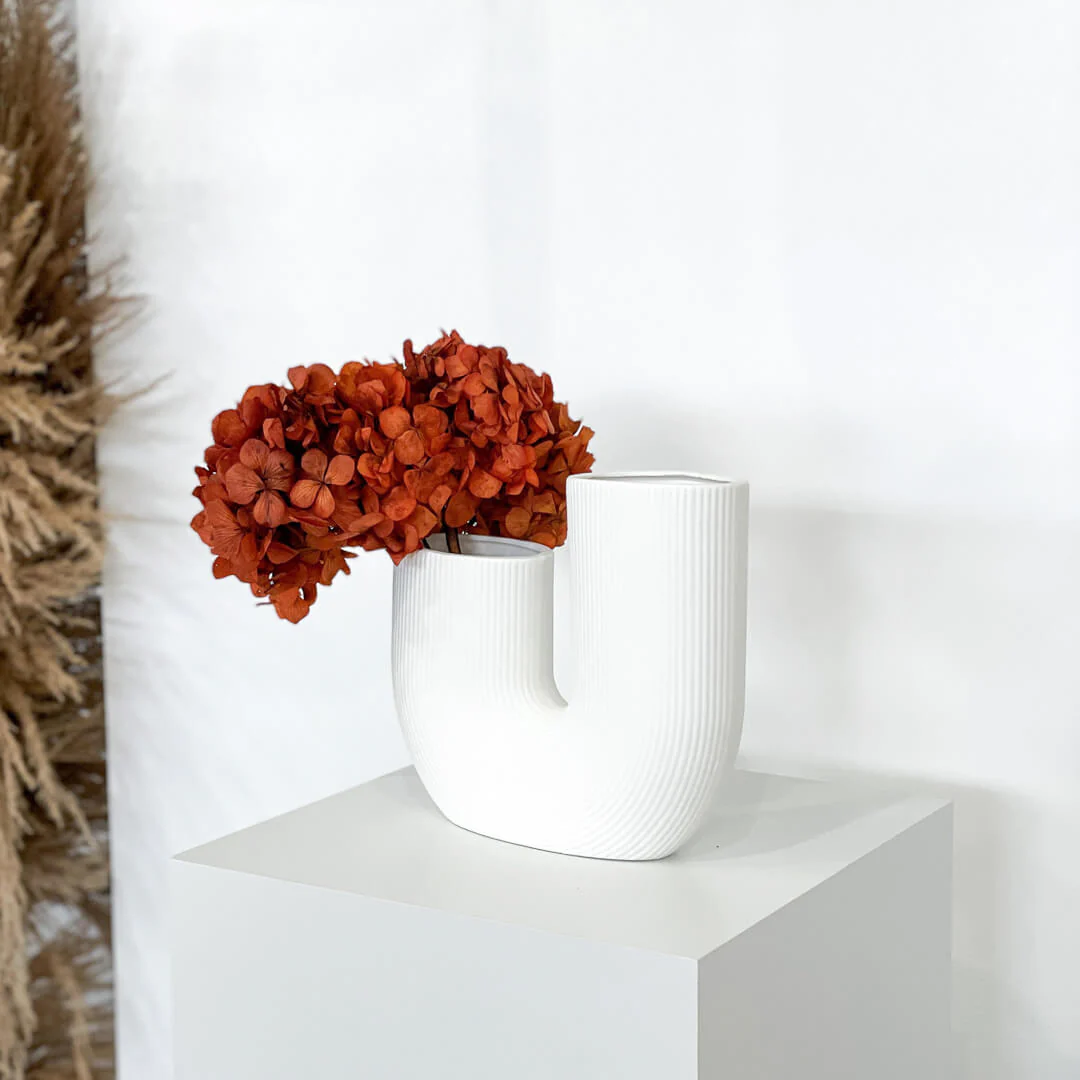 Hortensie: Zeitlose Schönheit, konservierte Hortensien als perfekte Dekoration