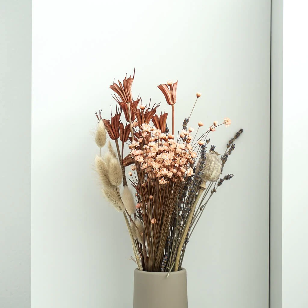 Nigella | Jungfer im Grünen | Schwarzkümmel