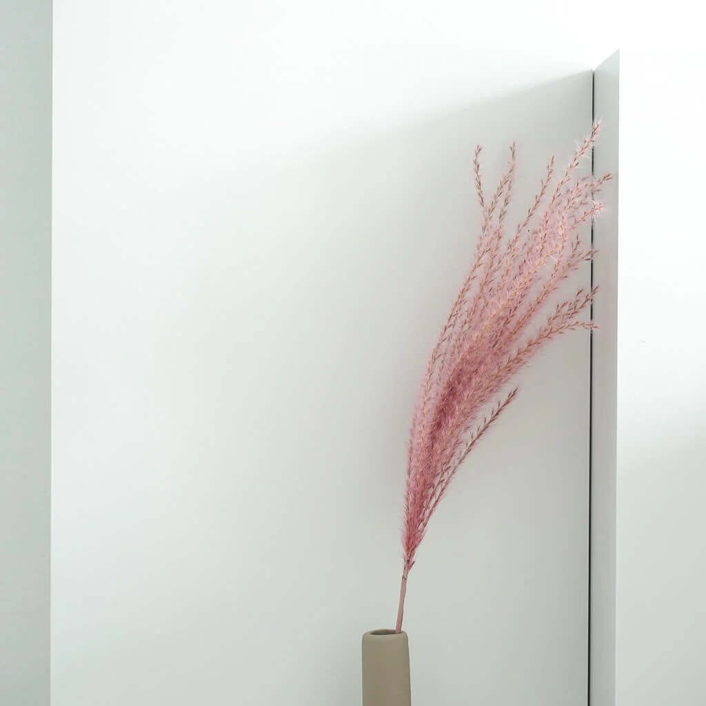 Federgras I Miscanthus - die zurückhaltende Deko