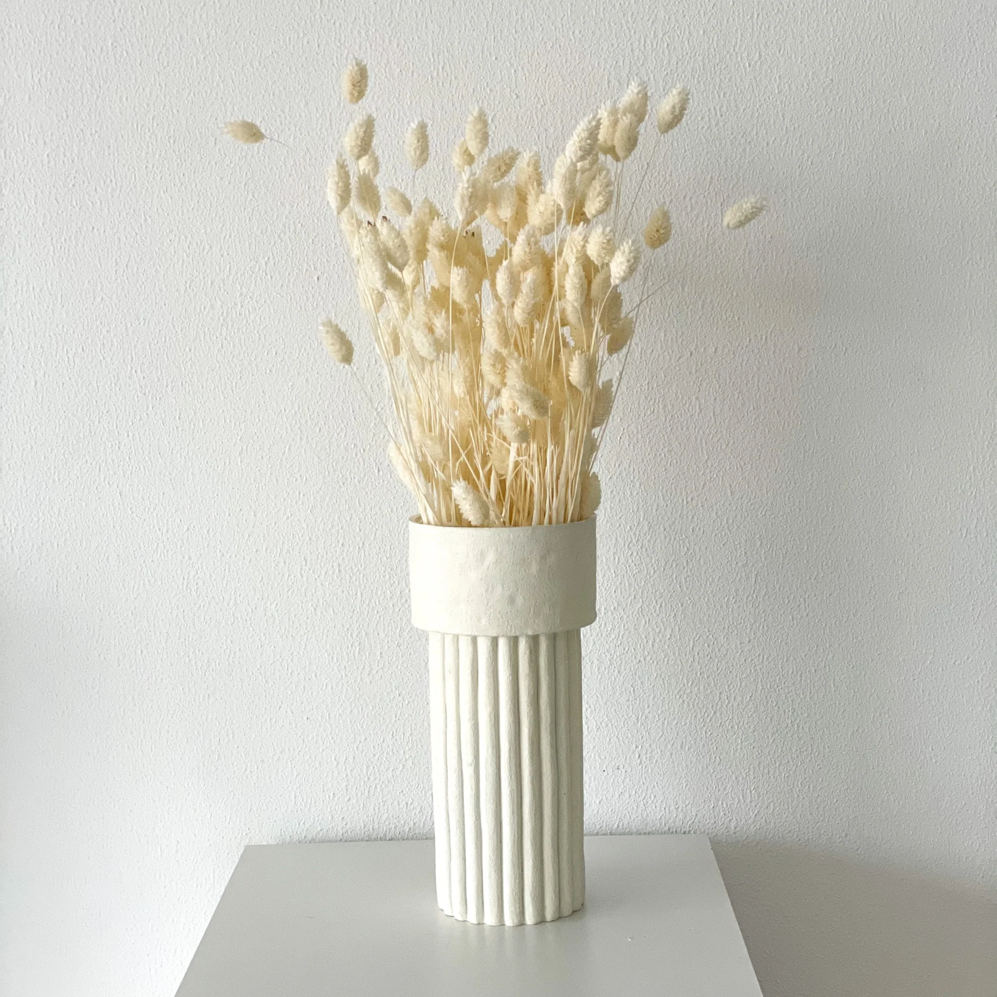 Phalaris I Kanariengras: Vielseitiger Allrounder für Deine Trockenblumen-Dekoration