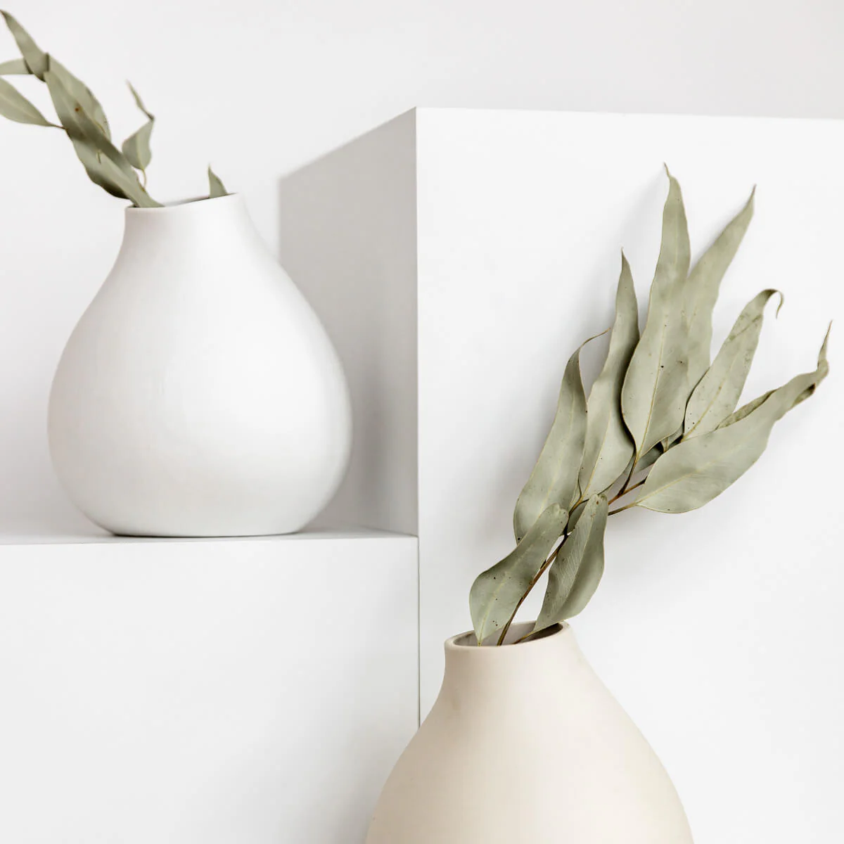 Vielseitiger Klassiker: getrockneter Eukalyptus