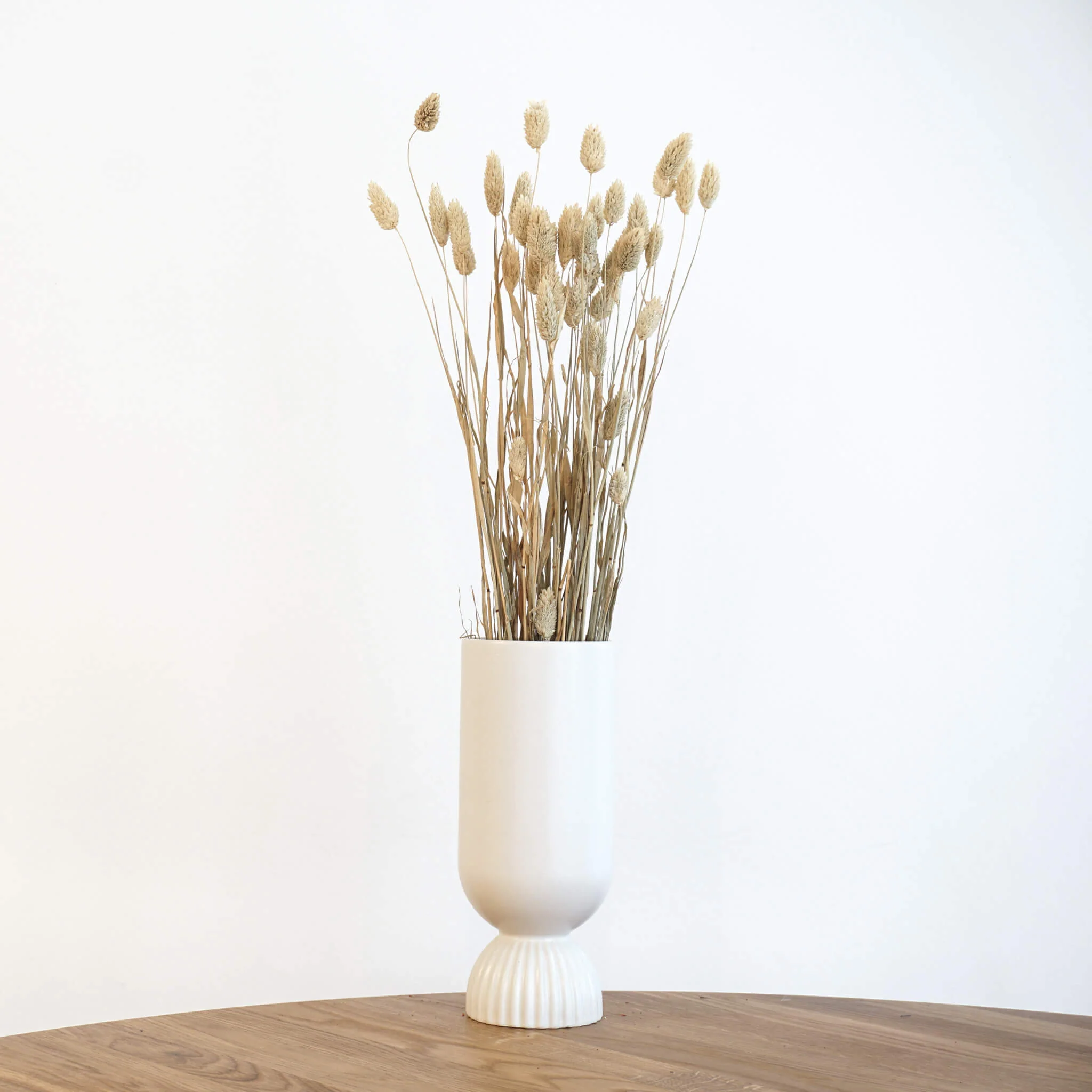 Phalaris I Kanariengras: Vielseitiger Allrounder für Deine Trockenblumen-Dekoration