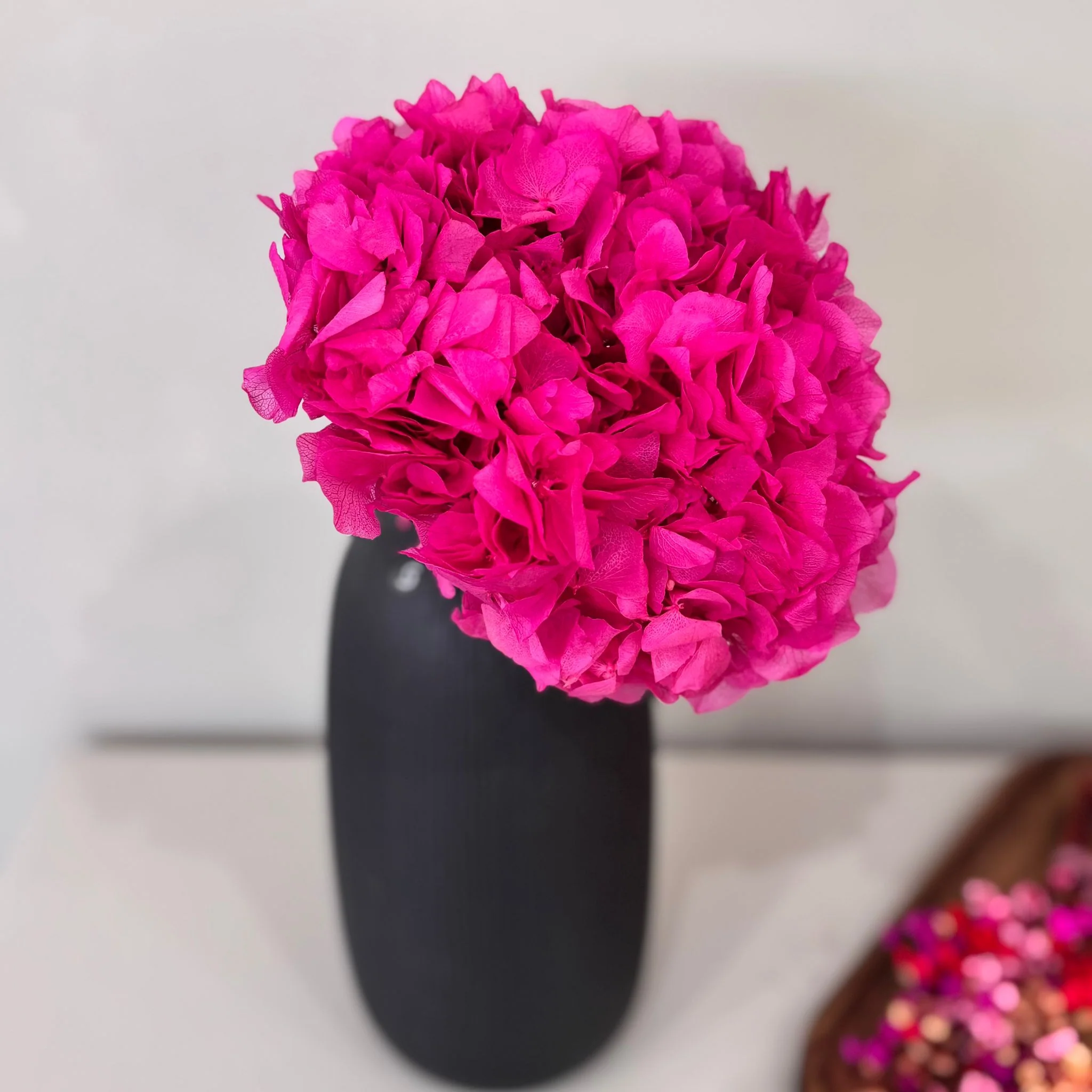 Hortensie: Zeitlose Schönheit, konservierte Hortensien als perfekte Dekoration