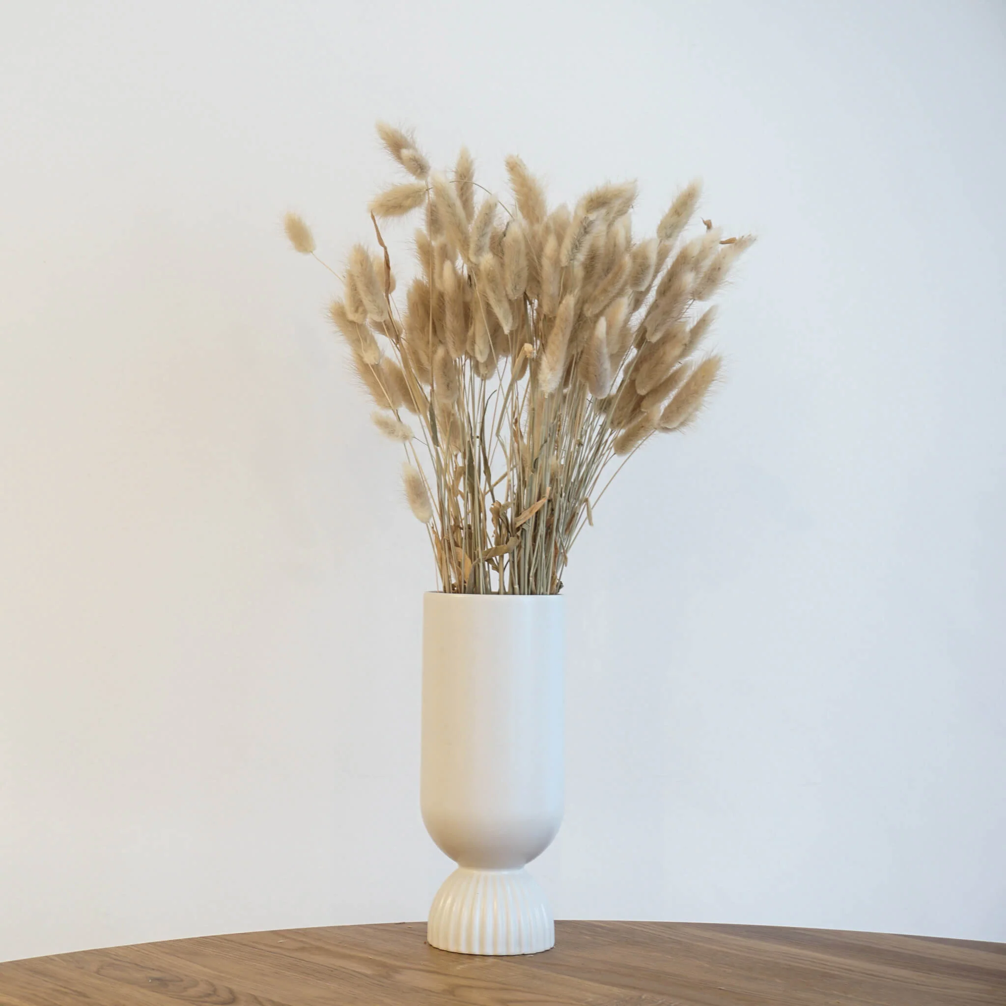 Lagurus | Samtgras | Hasenschwanz 60cm