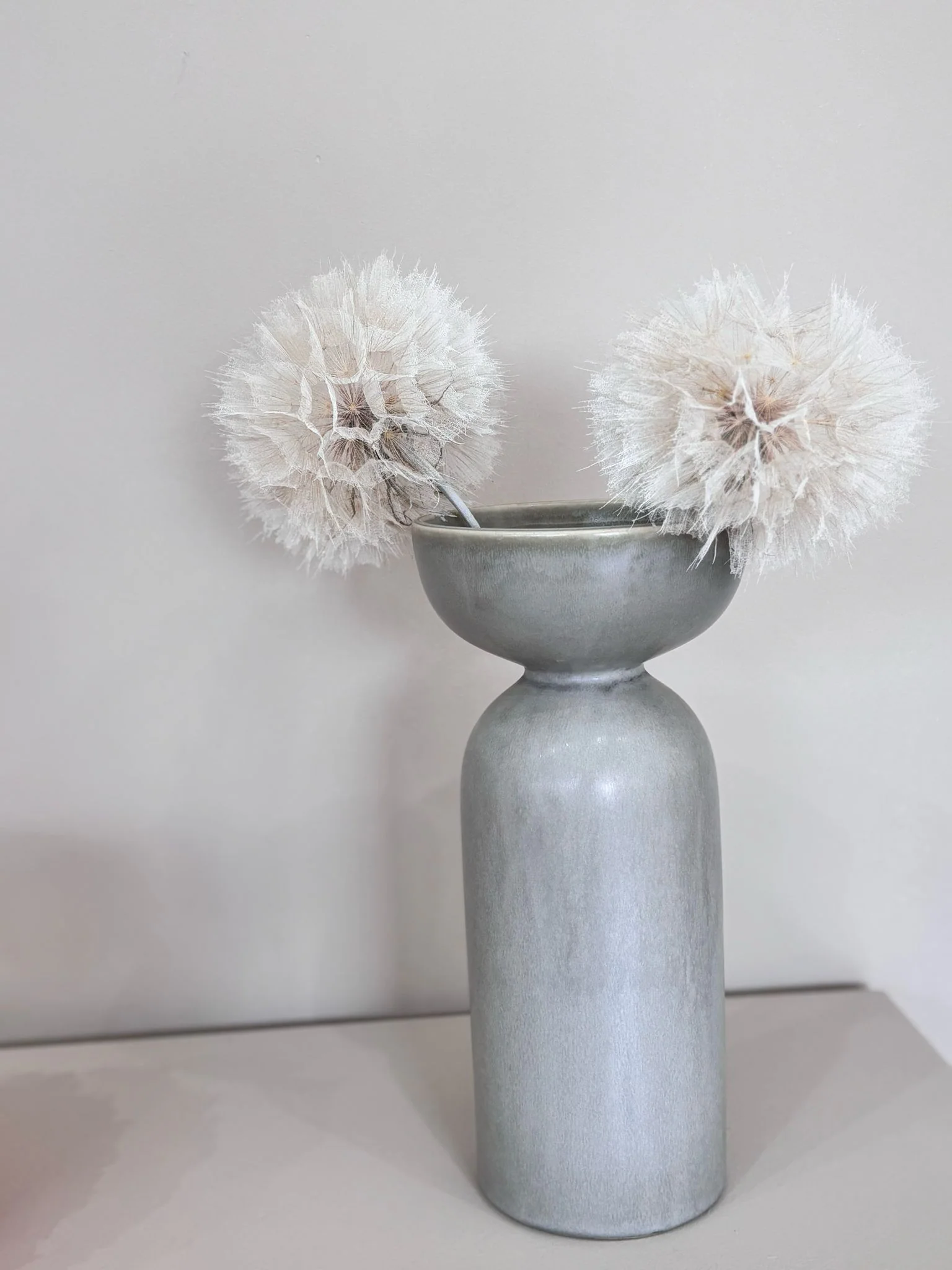 Pusteblume getrocknet einzeln