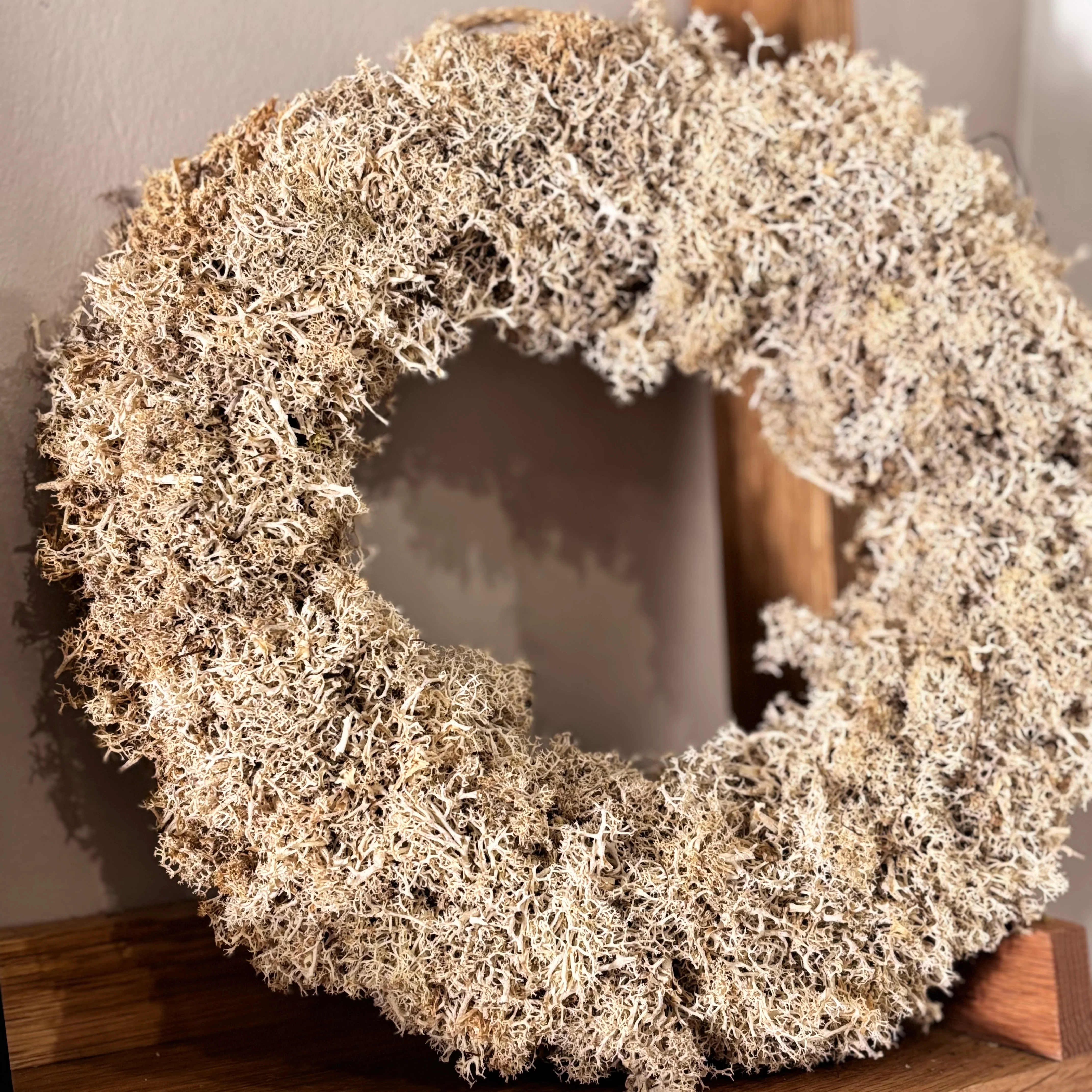 Reindeer-Moos: Isländischer Reindeermooskranz