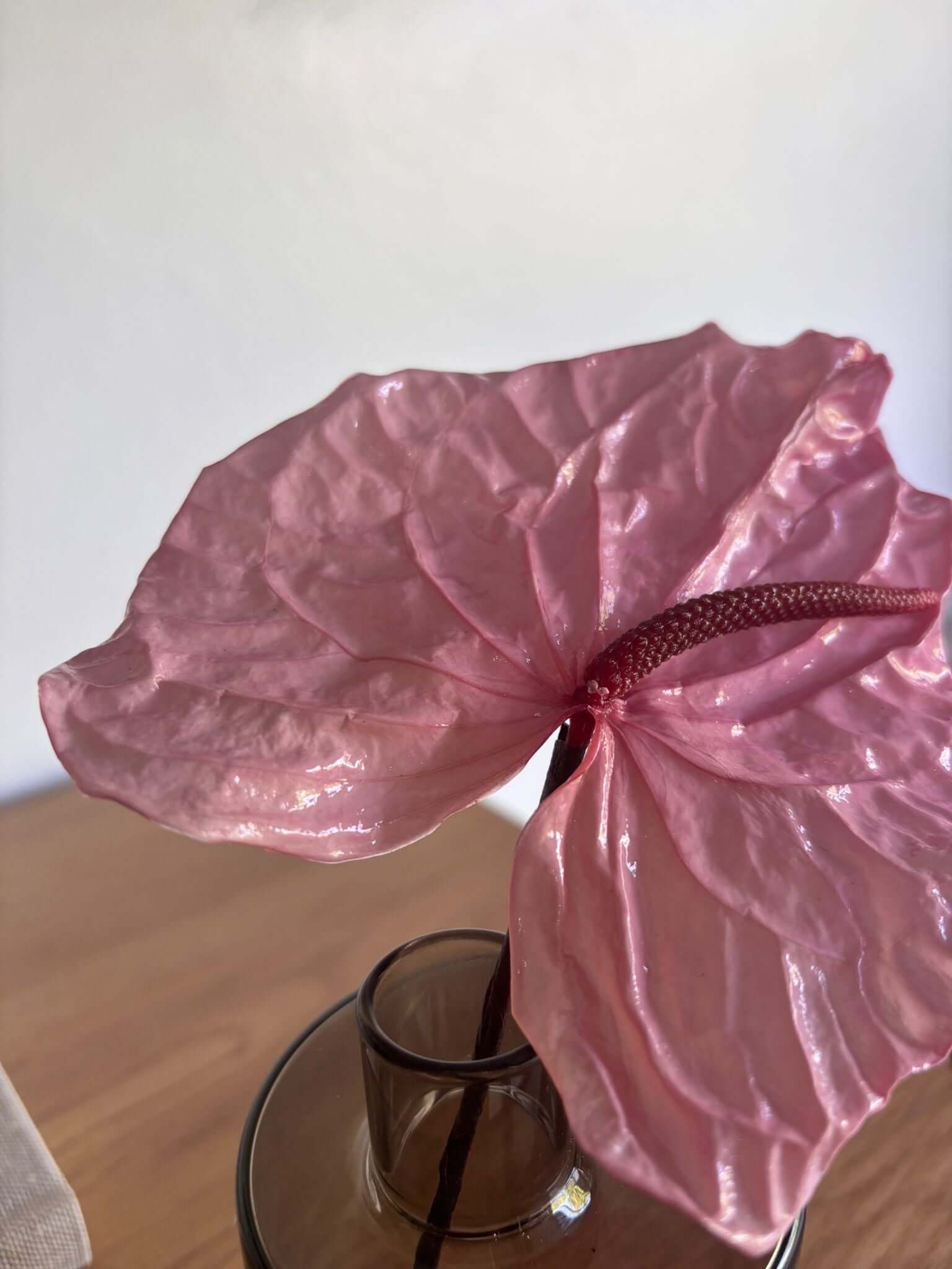 Anthuri konserviert einzeln