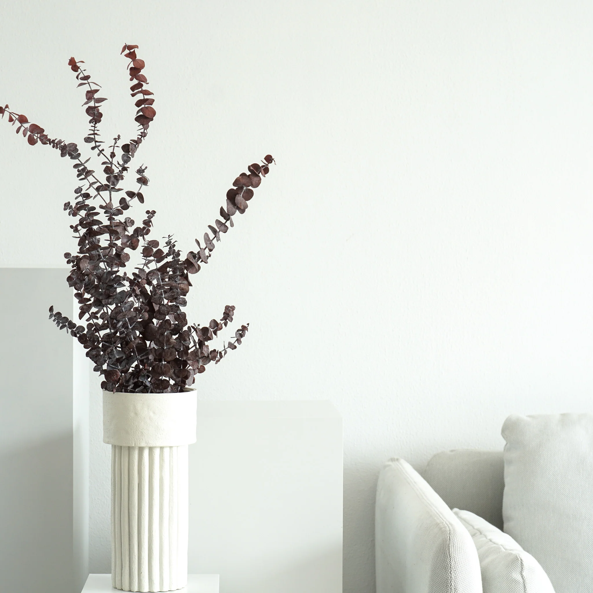 Eukalyptus Baby - der Feine