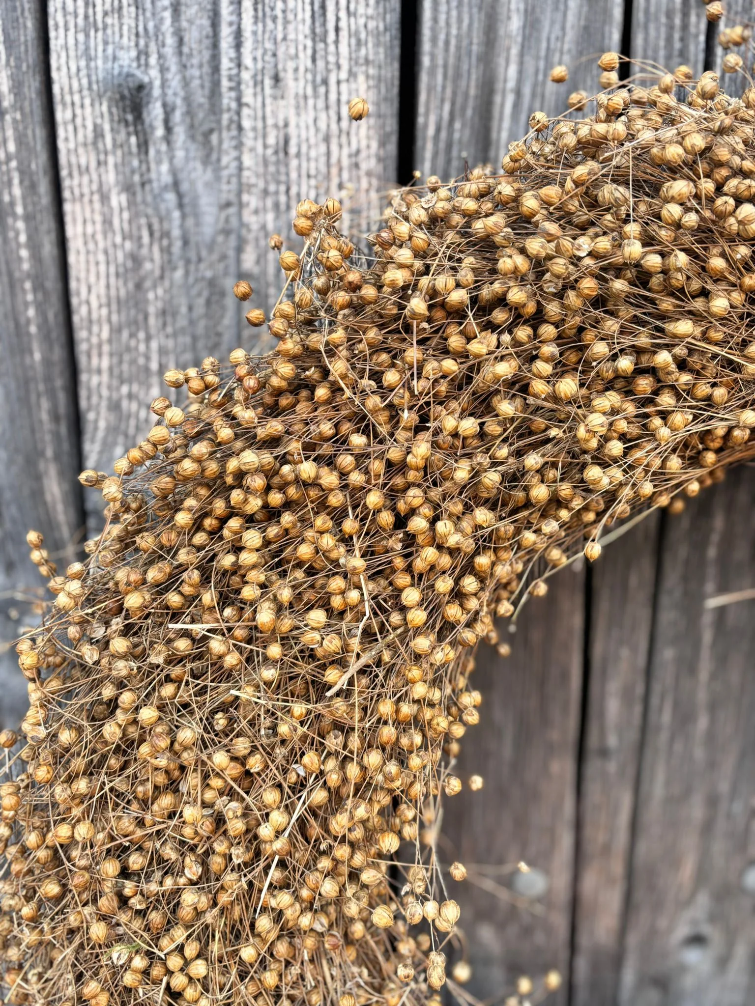 Flachskranz: Entdecke die Magie der Flachskränze – Dein Must-Have für dieses Jahr