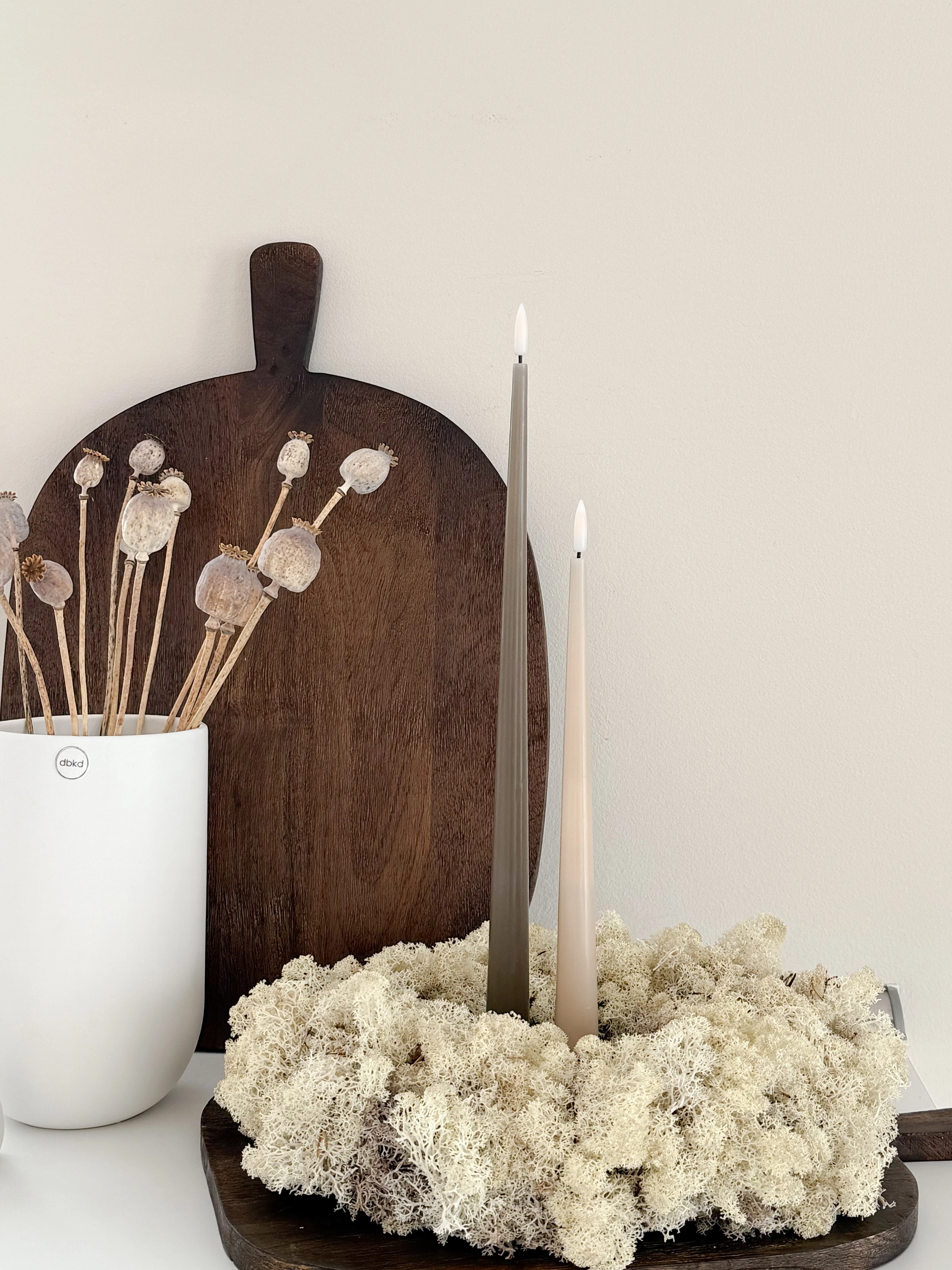 Reindeer-Moos: Isländischer Reindeermooskranz