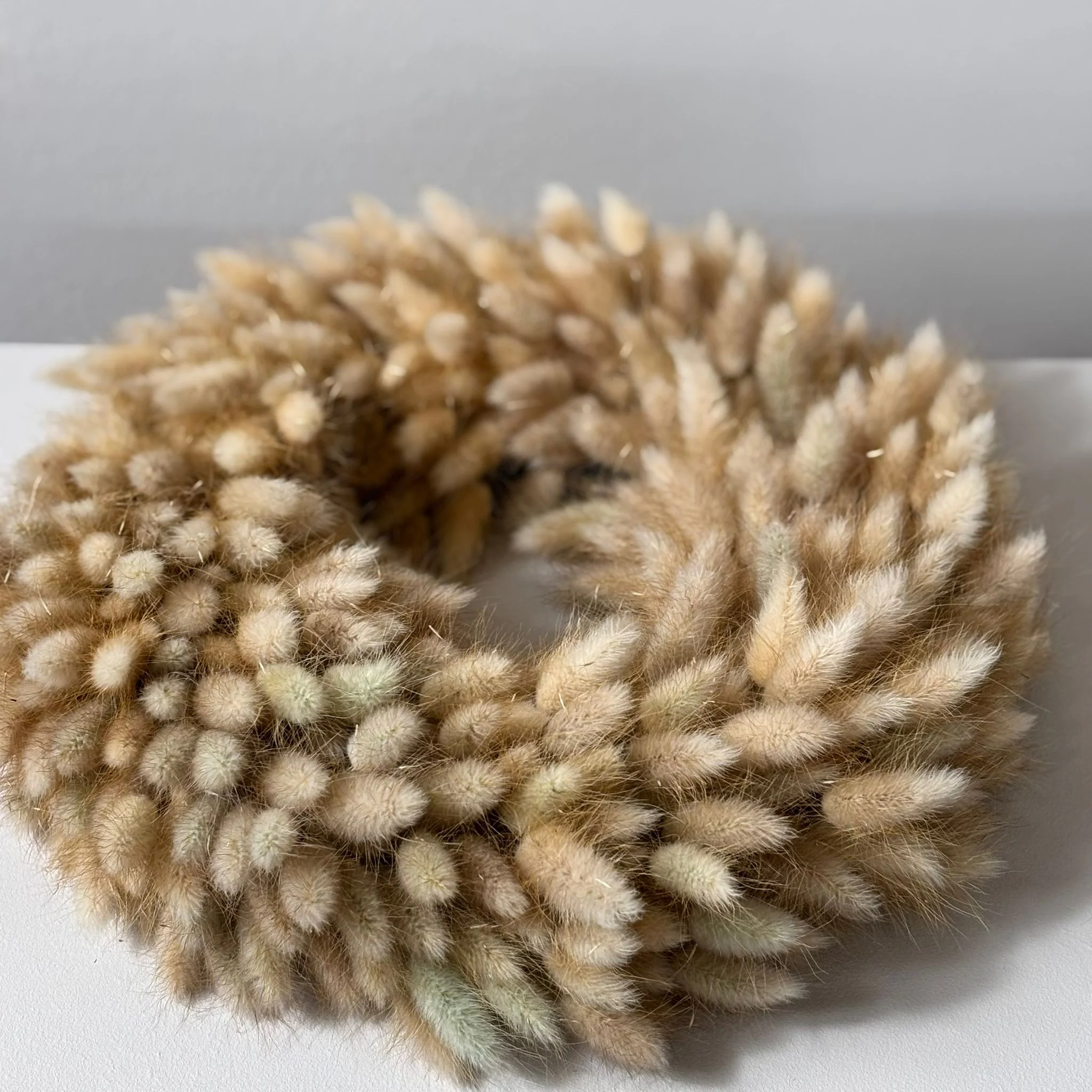 Trockenblumenkranz Lagurus beige