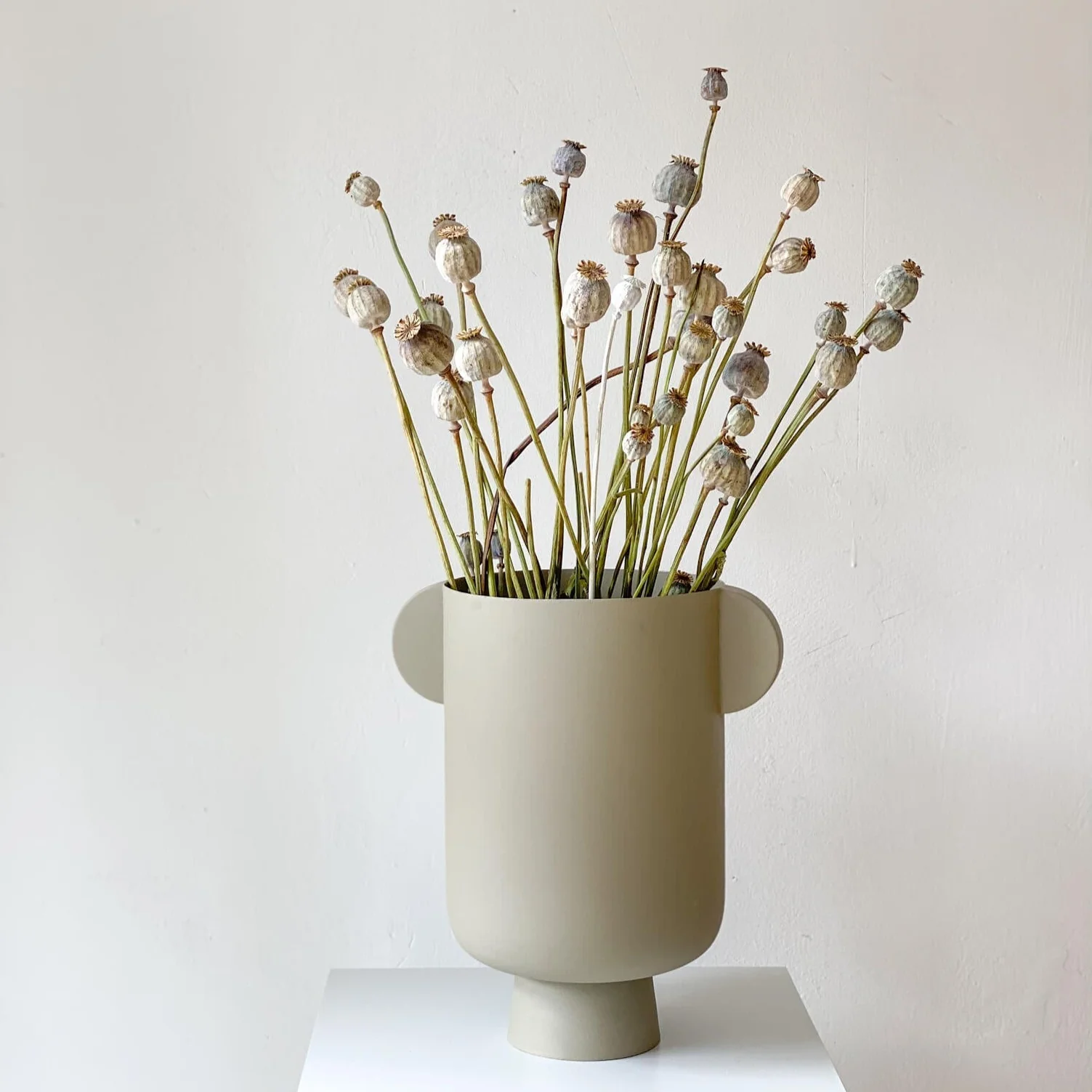 Mohnkapseln getrocknet: Lass deine Wohnung erblühen!