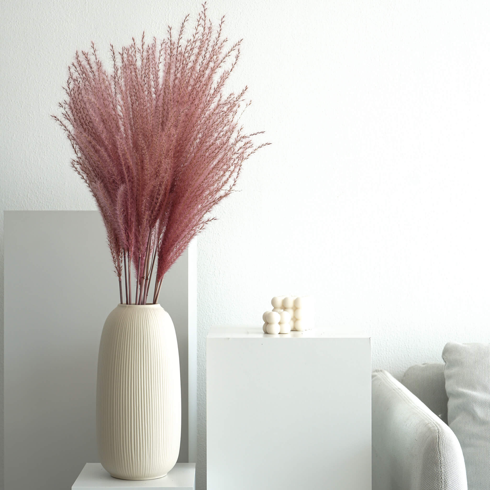 Federgras I Miscanthus - die zurückhaltende Deko