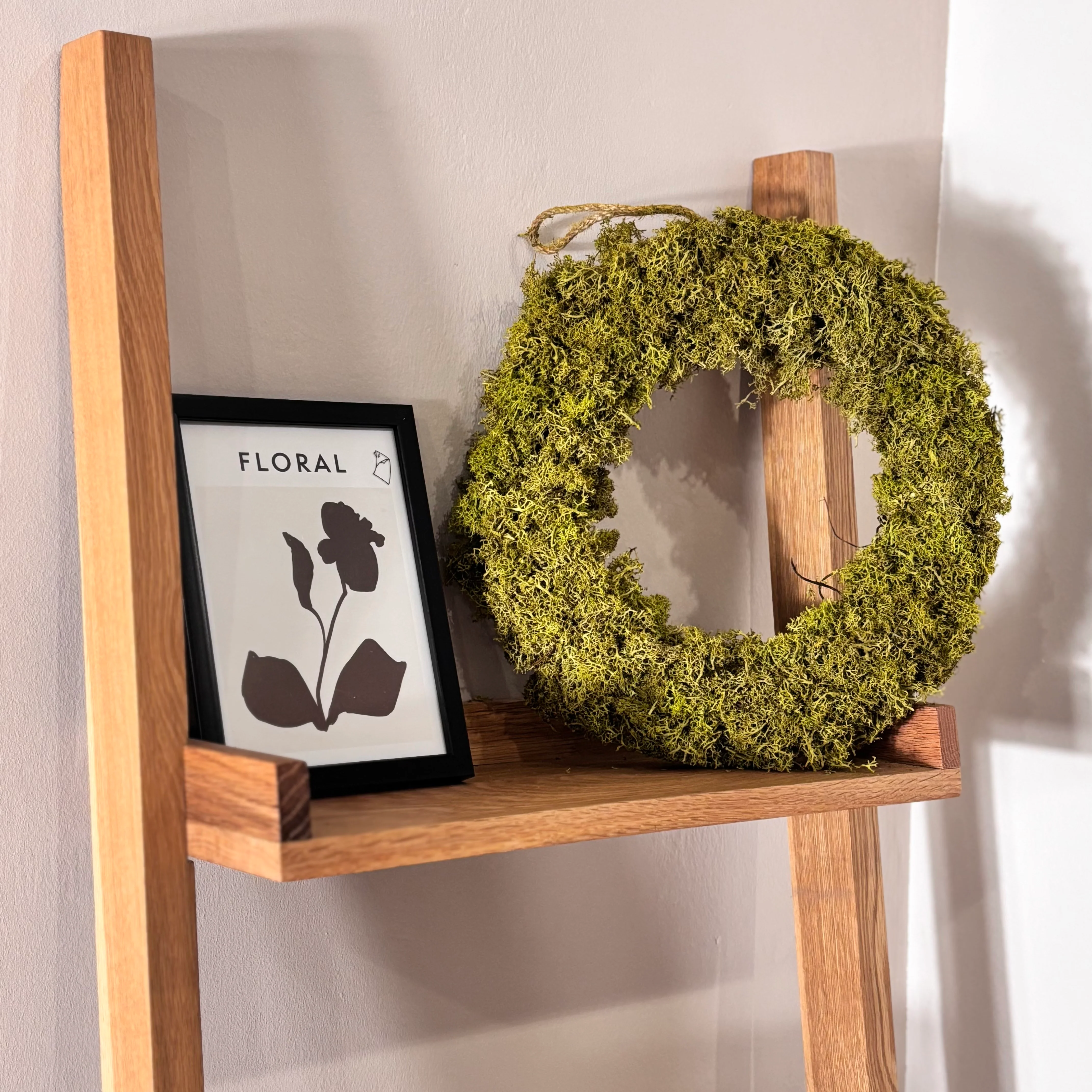 Reindeer-Moos: Isländischer Reindeermooskranz