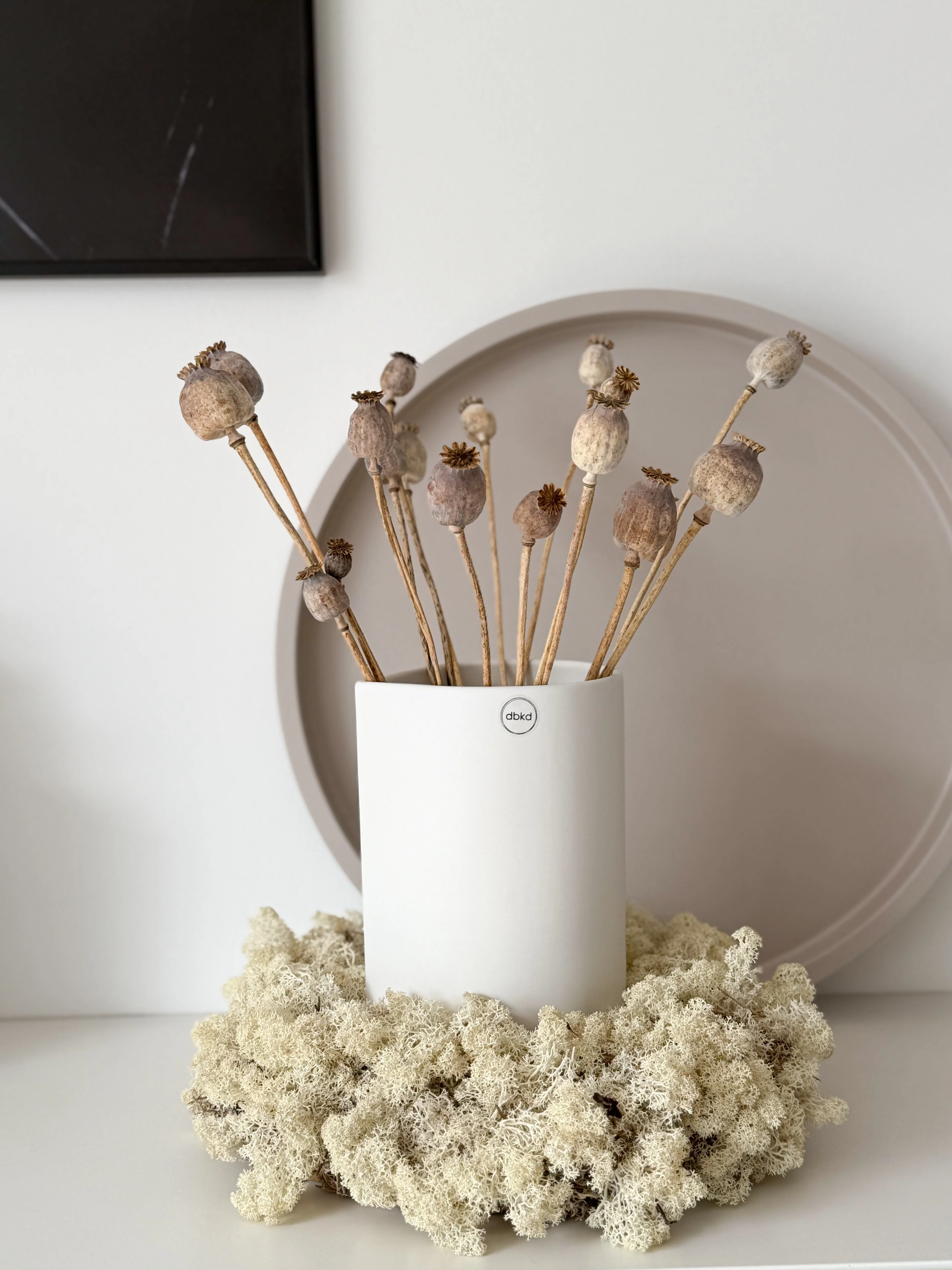 Reindeer-Moos: Isländischer Reindeermooskranz