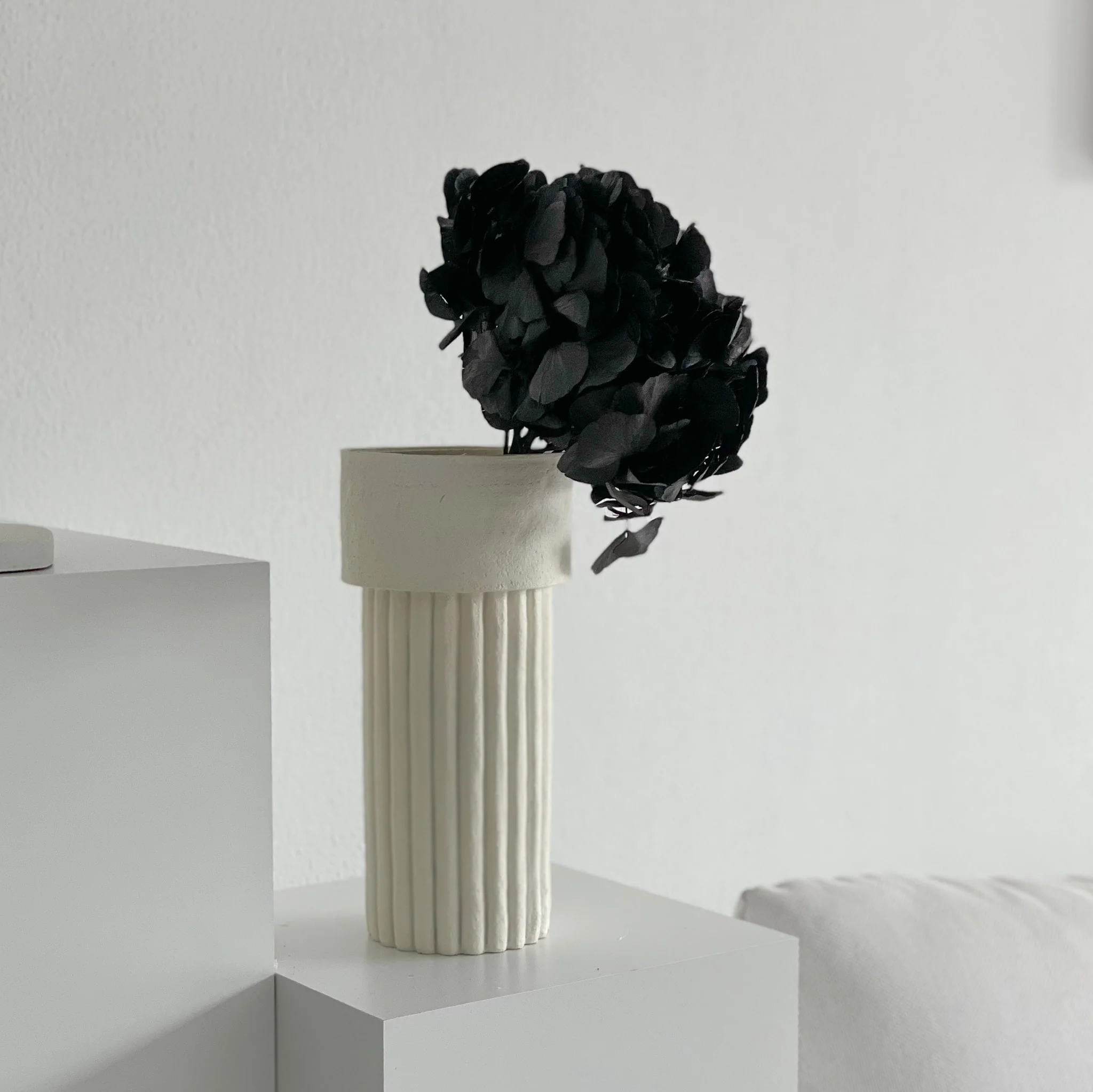 Hortensie: Zeitlose Schönheit, konservierte Hortensien als perfekte Dekoration