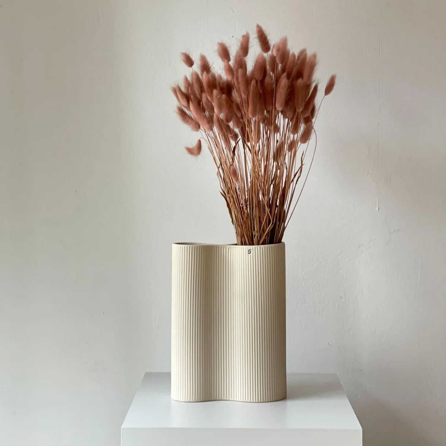 Lagurus | Samtgras | Hasenschwanz 60cm