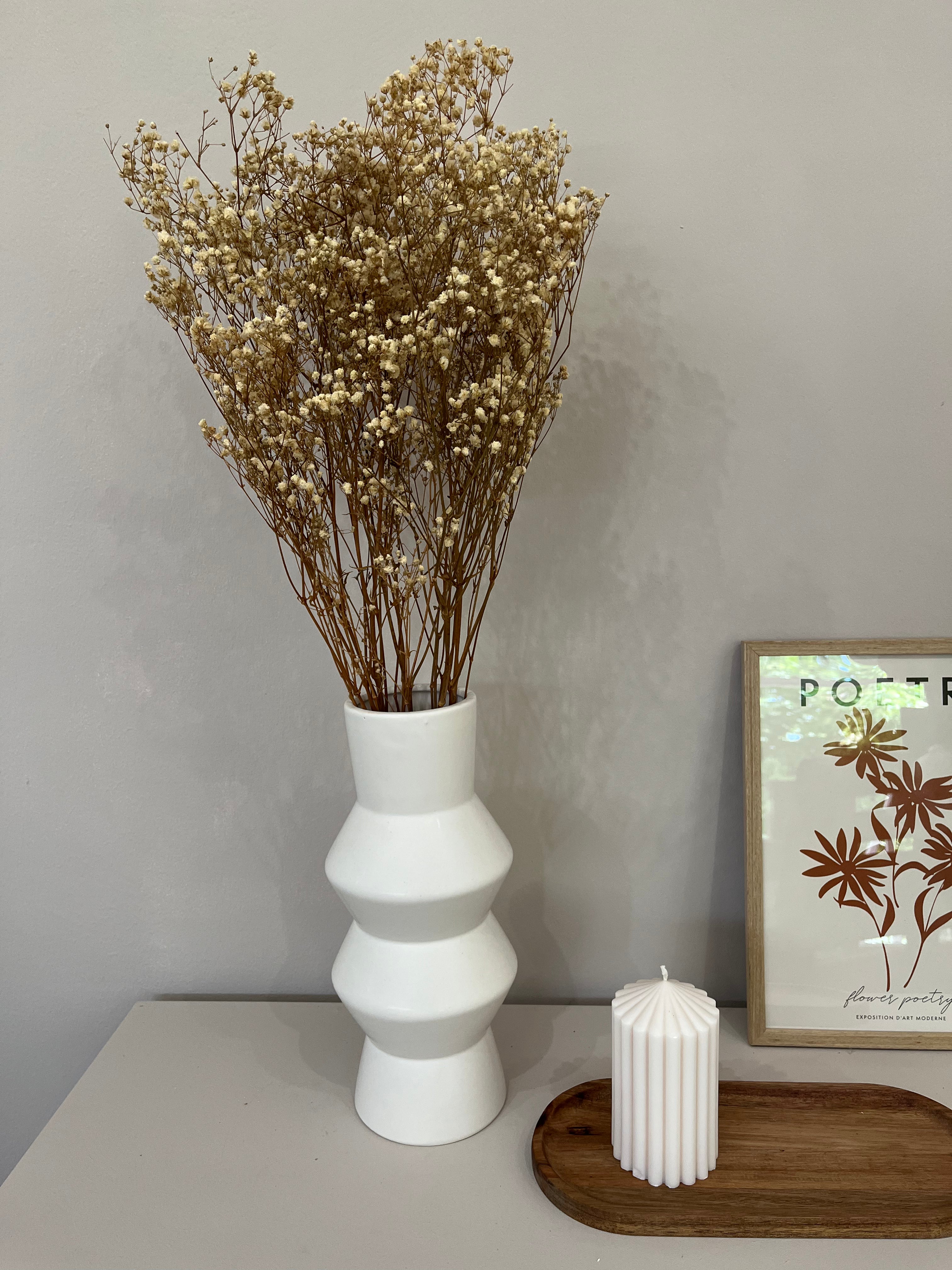 Gypsophilia | Schleierkraut: Ewige Schönheit für Deine Trockenblumensträuße und -kränze