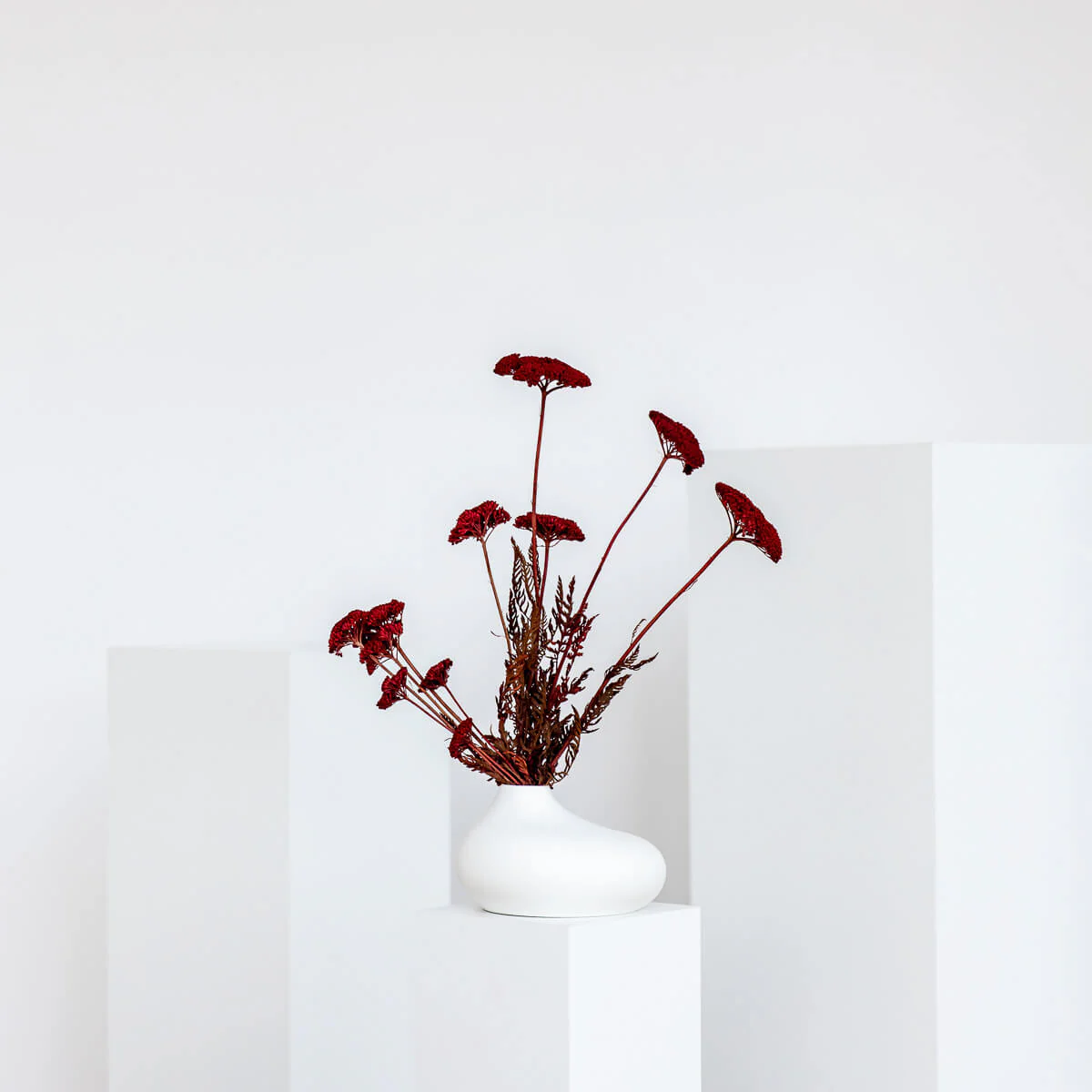 Schafgarbe getrocknet | Achillea