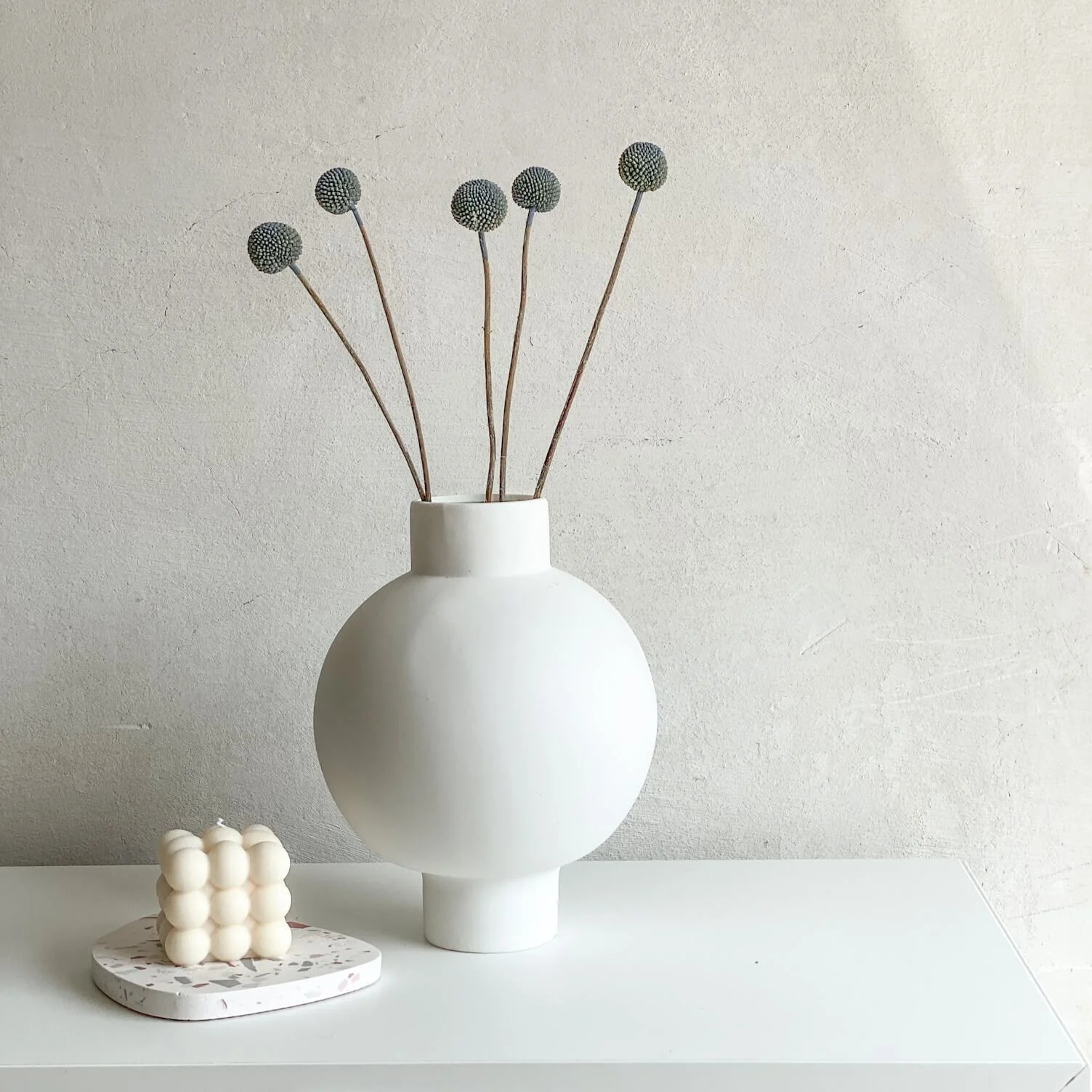 Craspedia I Trommelstöckchen