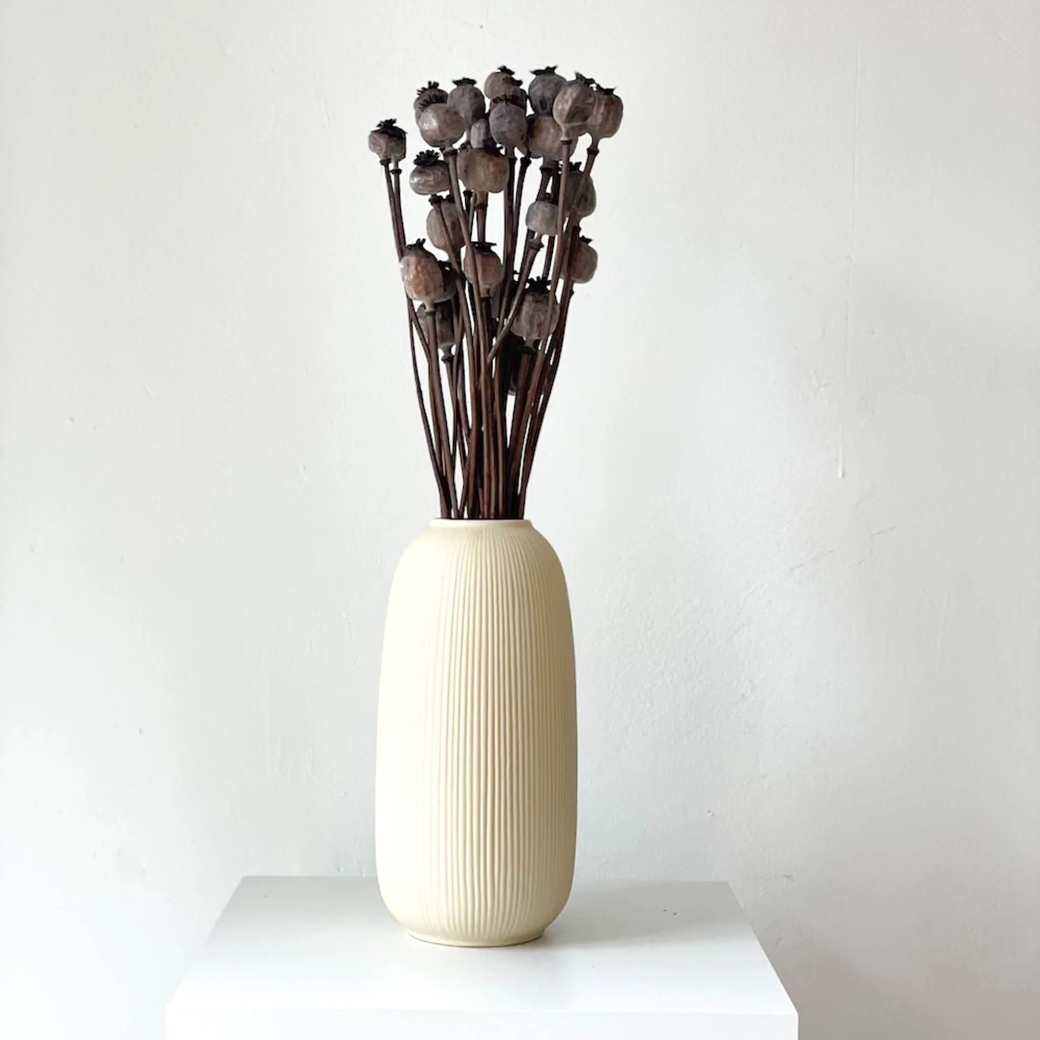 Mohnkapseln getrocknet: Lass deine Wohnung erblühen!