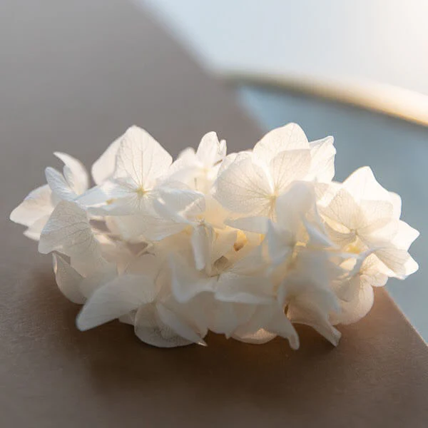 Haarkamm Trockenblumen weiß Hortensie