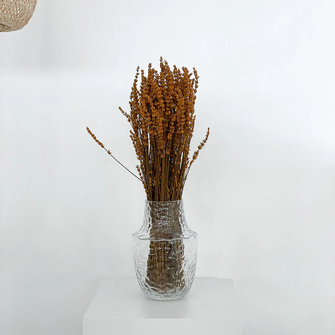 Trockenblume Lavendel