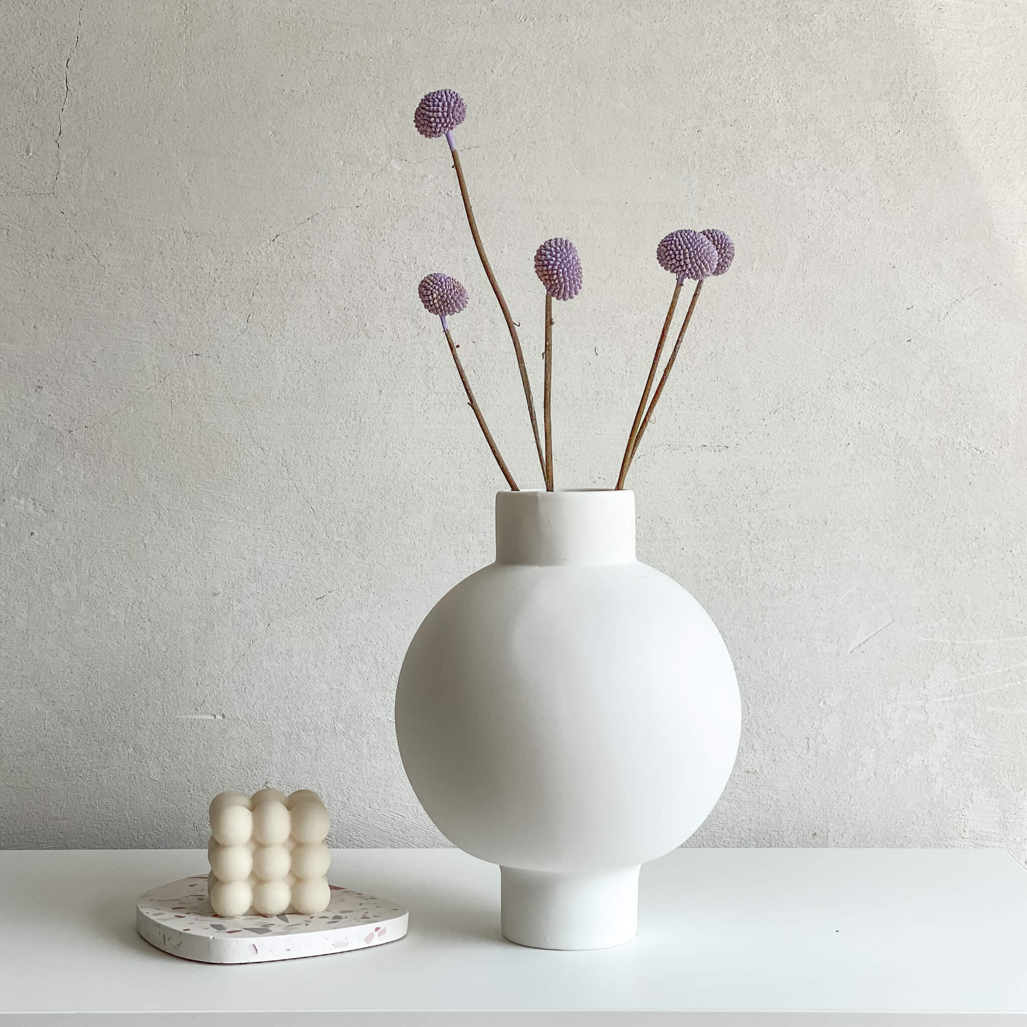 Craspedia I Trommelstöckchen