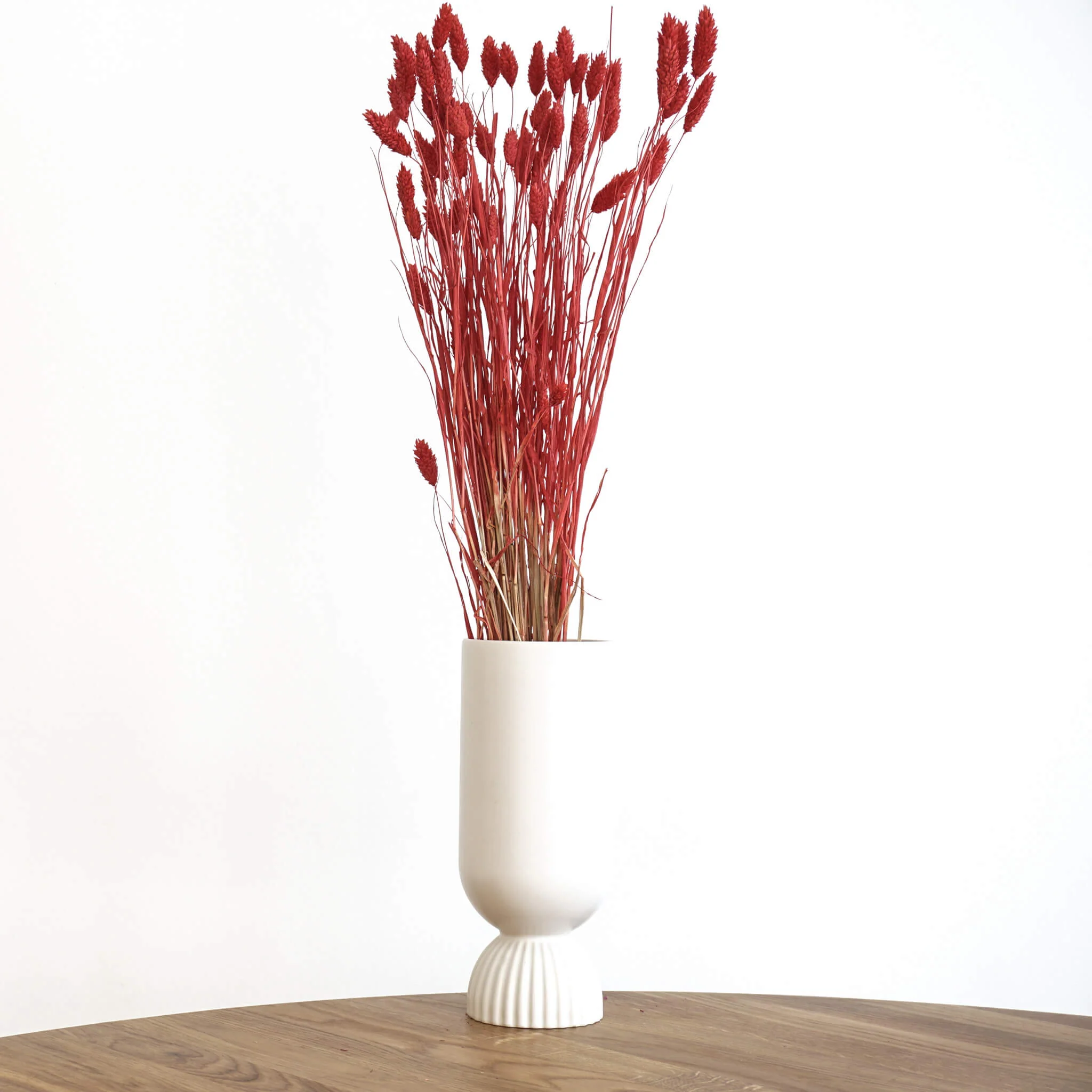 Phalaris I Kanariengras: Vielseitiger Allrounder für Deine Trockenblumen-Dekoration