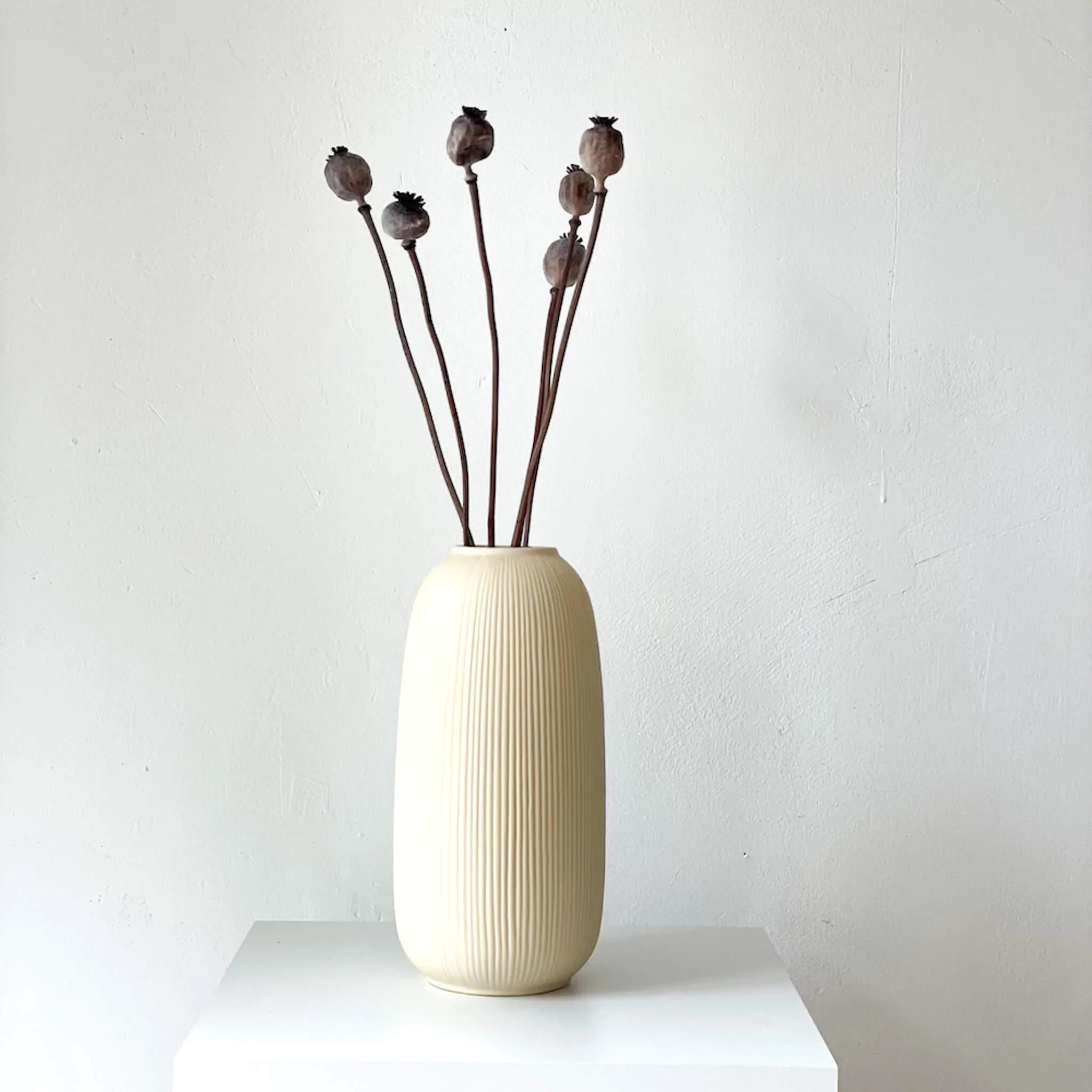 Mohnkapseln getrocknet: Lass deine Wohnung erblühen!