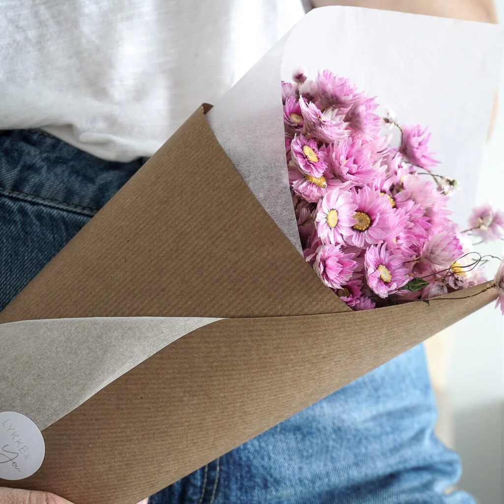 Rodanthe | großer Bund