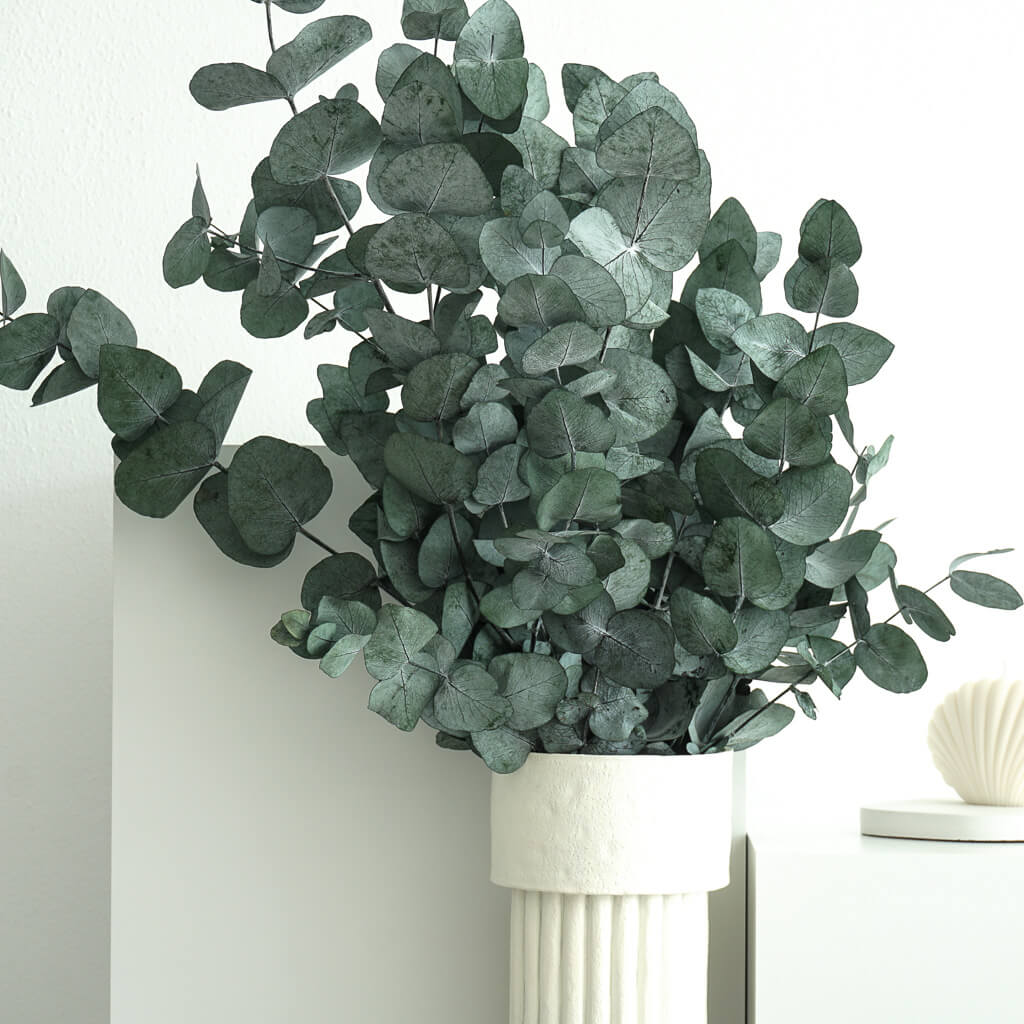 Konservierter Eukalyptus Cinerea - Ein Hauch von Natur, der bleibt!