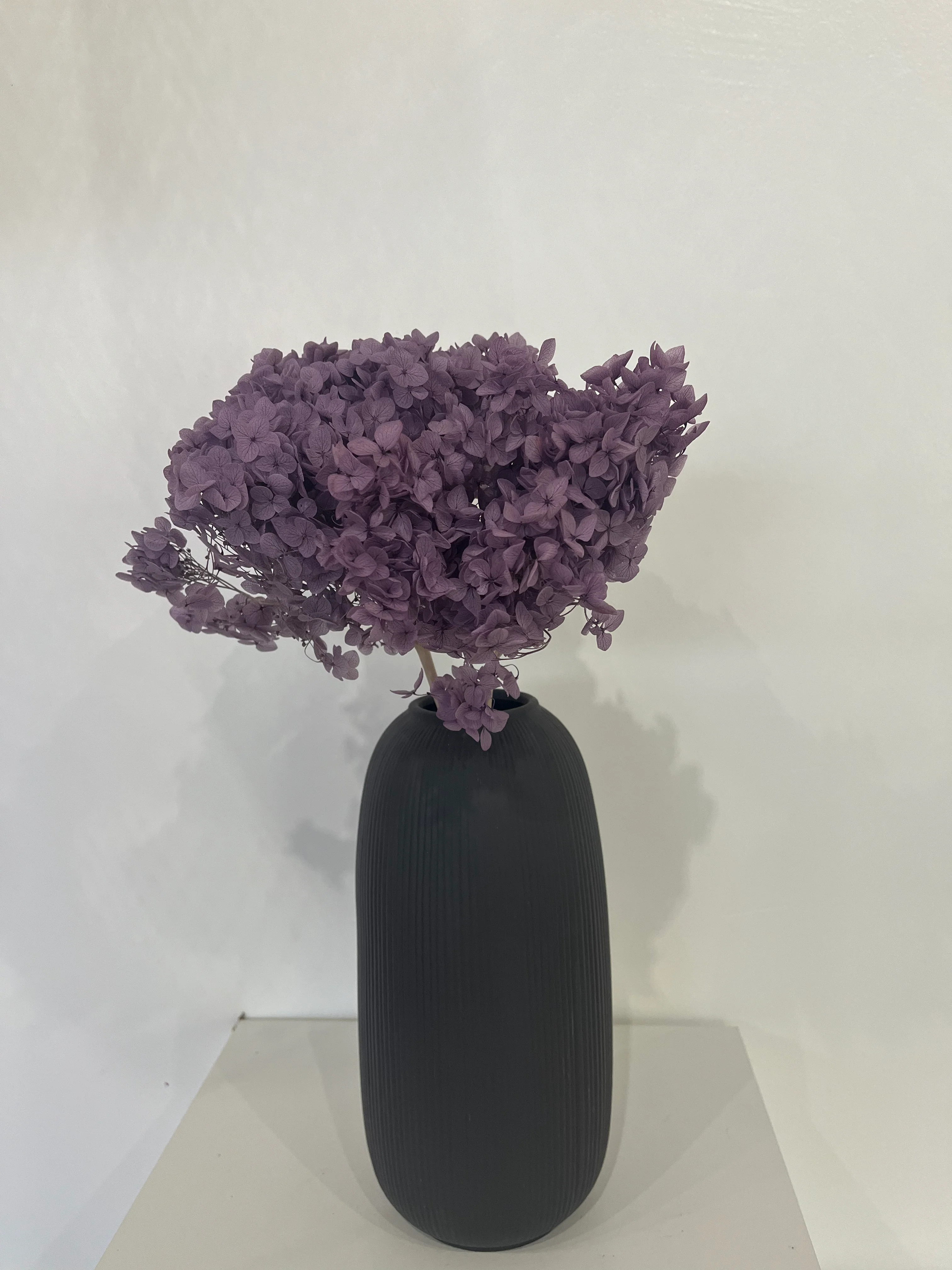 Rispenhortensie: Zeitlose Schönheit, konservierte Hortensien als perfekte Dekoration