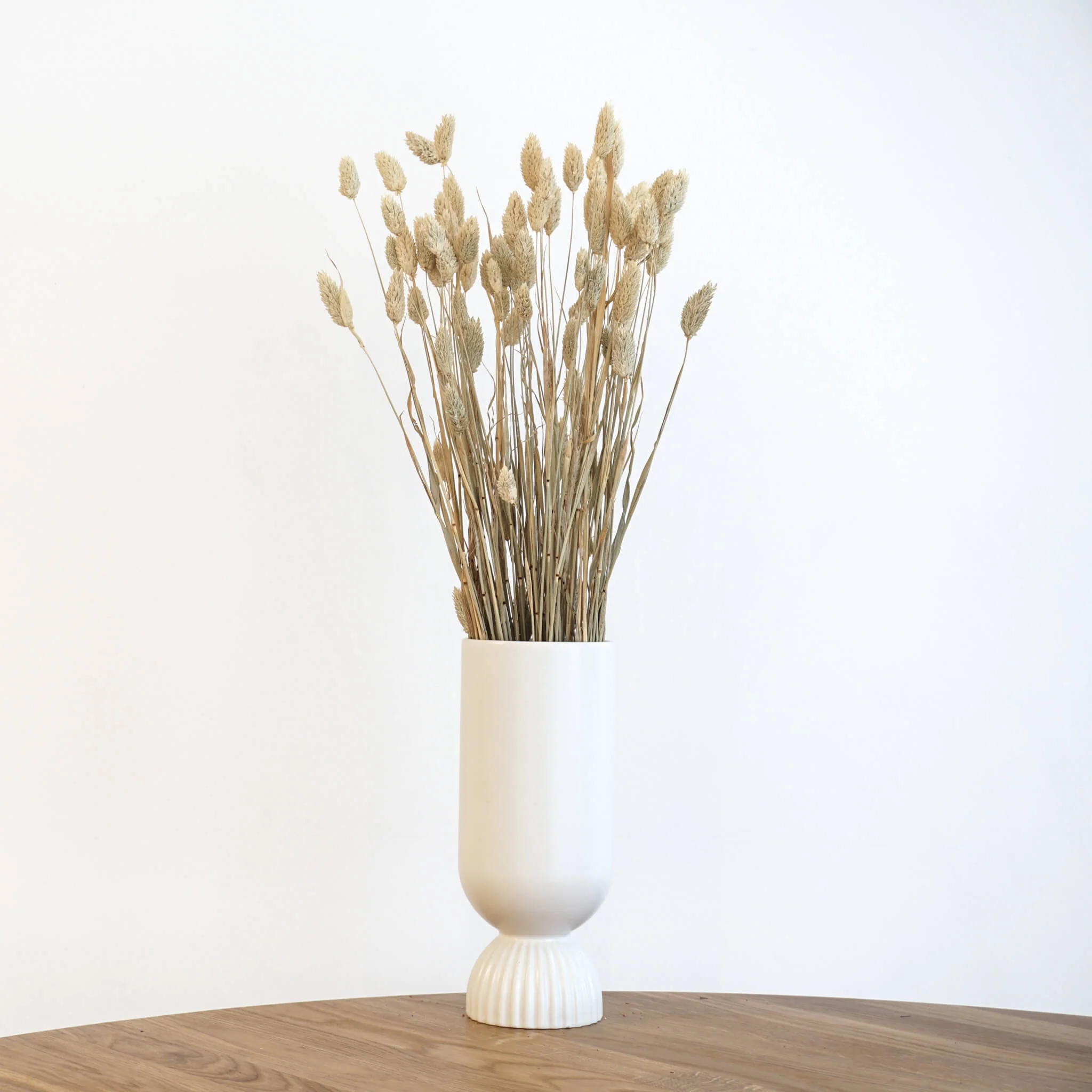 Phalaris I Kanariengras: Vielseitiger Allrounder für Deine Trockenblumen-Dekoration