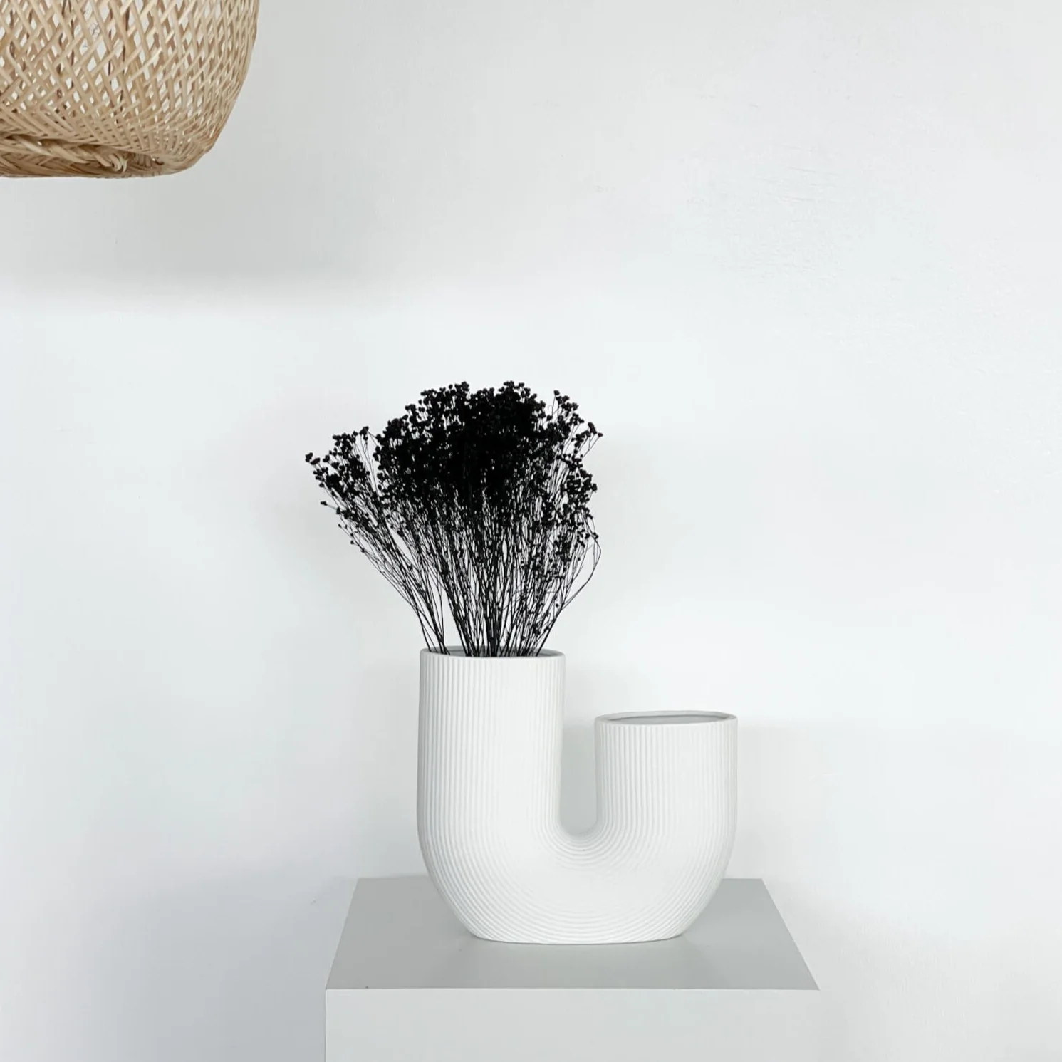 Broom Bloom - ein Bund