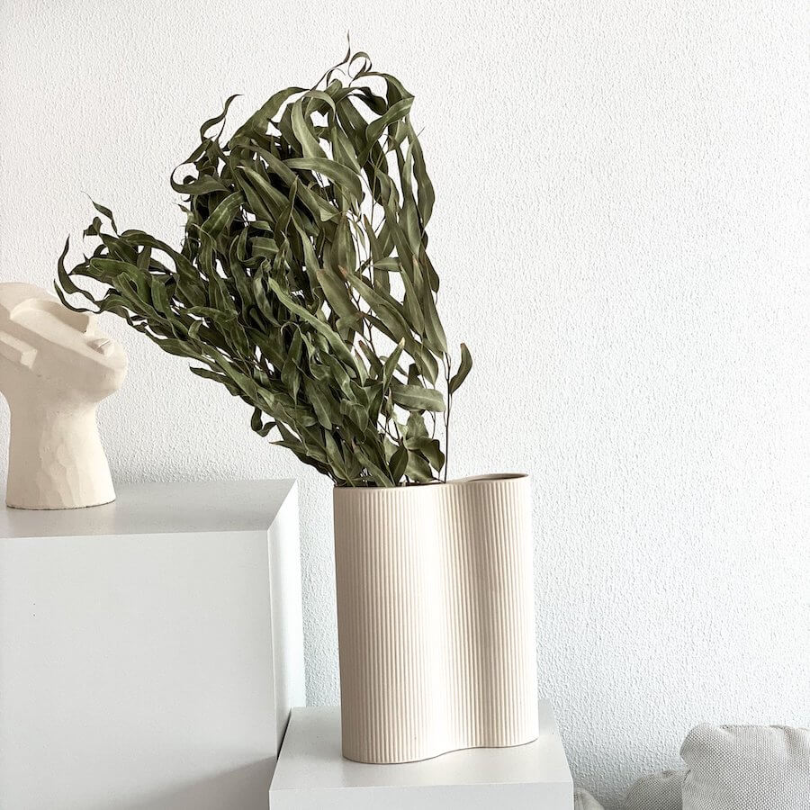 Vielseitiger Klassiker: getrockneter Eukalyptus