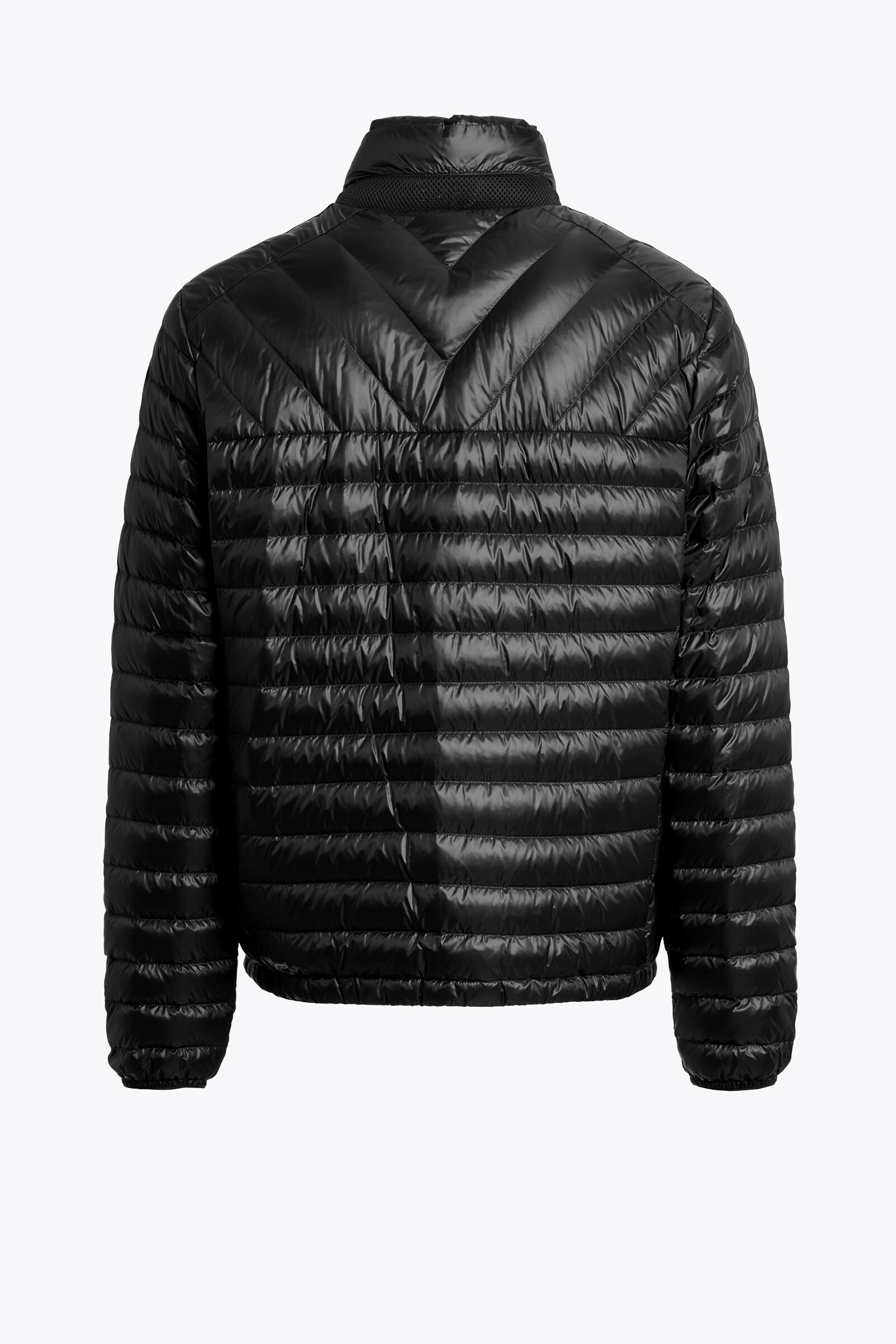 SENA - SHORT DOWN JACKET