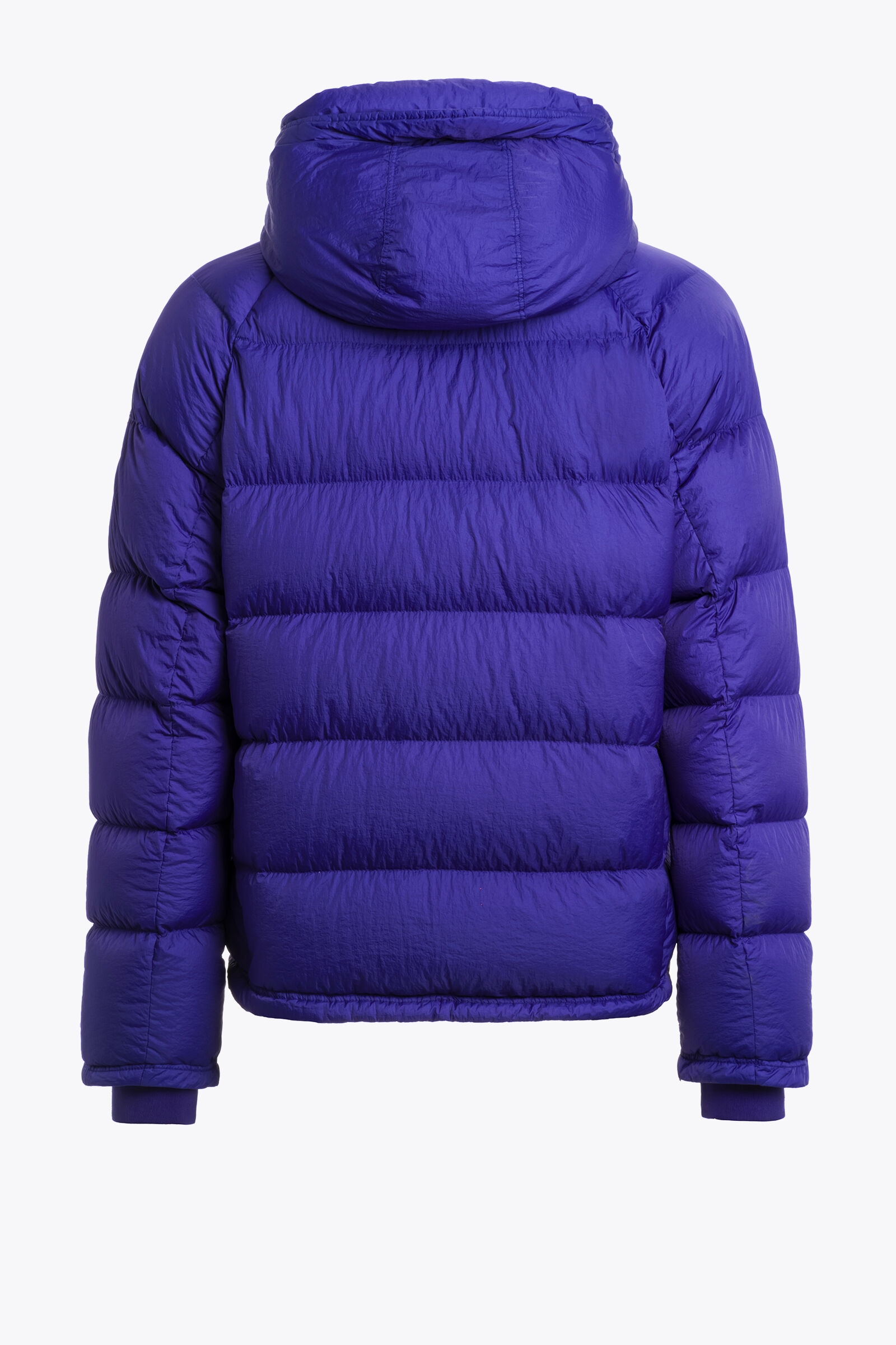 NORTON - HOODED DOWN JACKET