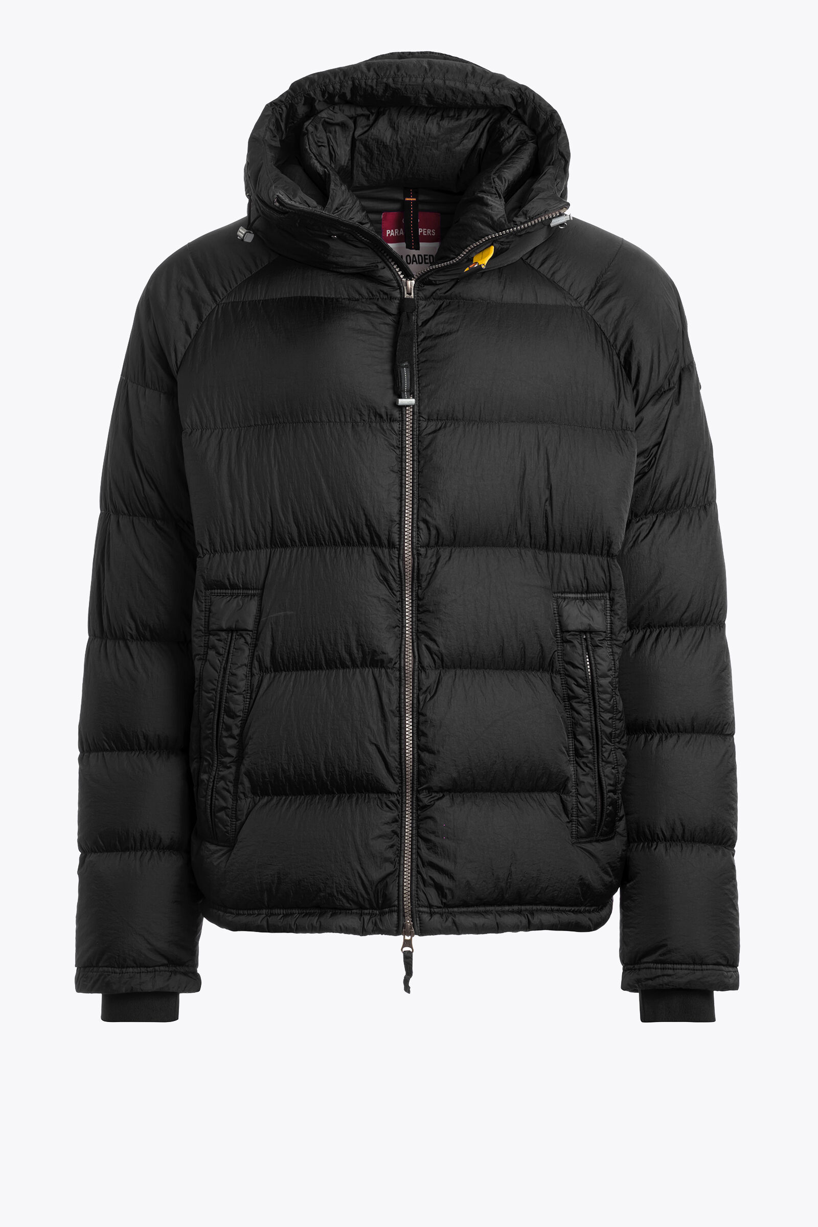 NORTON - HOODED DOWN JACKET