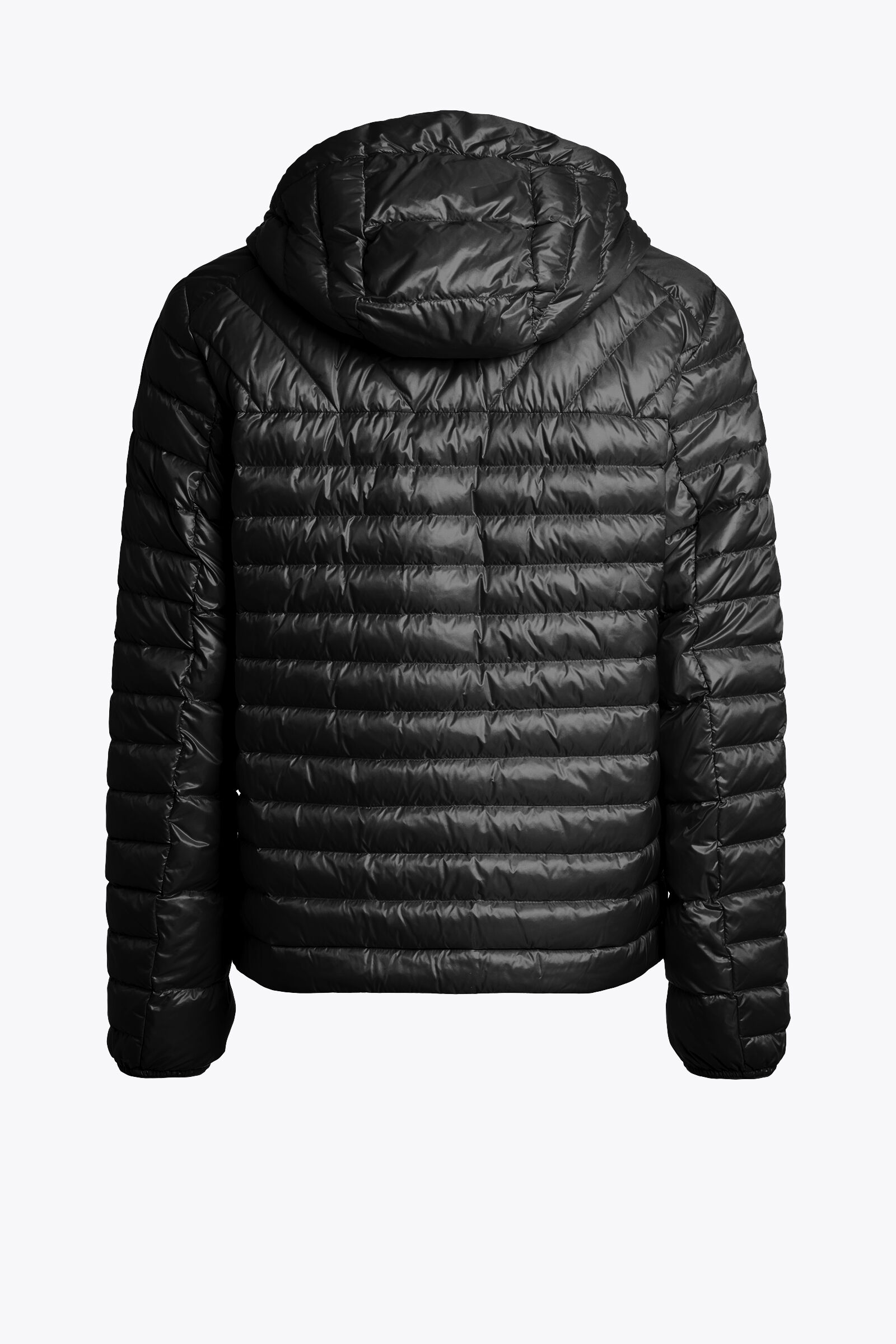 MIROKU - HOODED DOWN JACKET