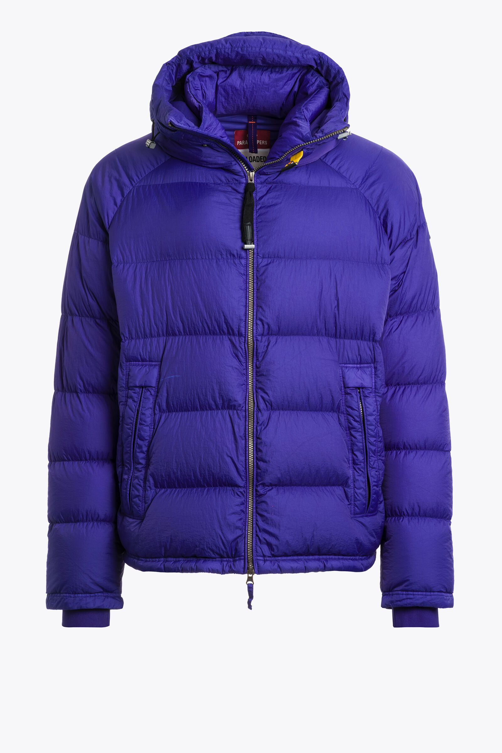 NORTON - HOODED DOWN JACKET