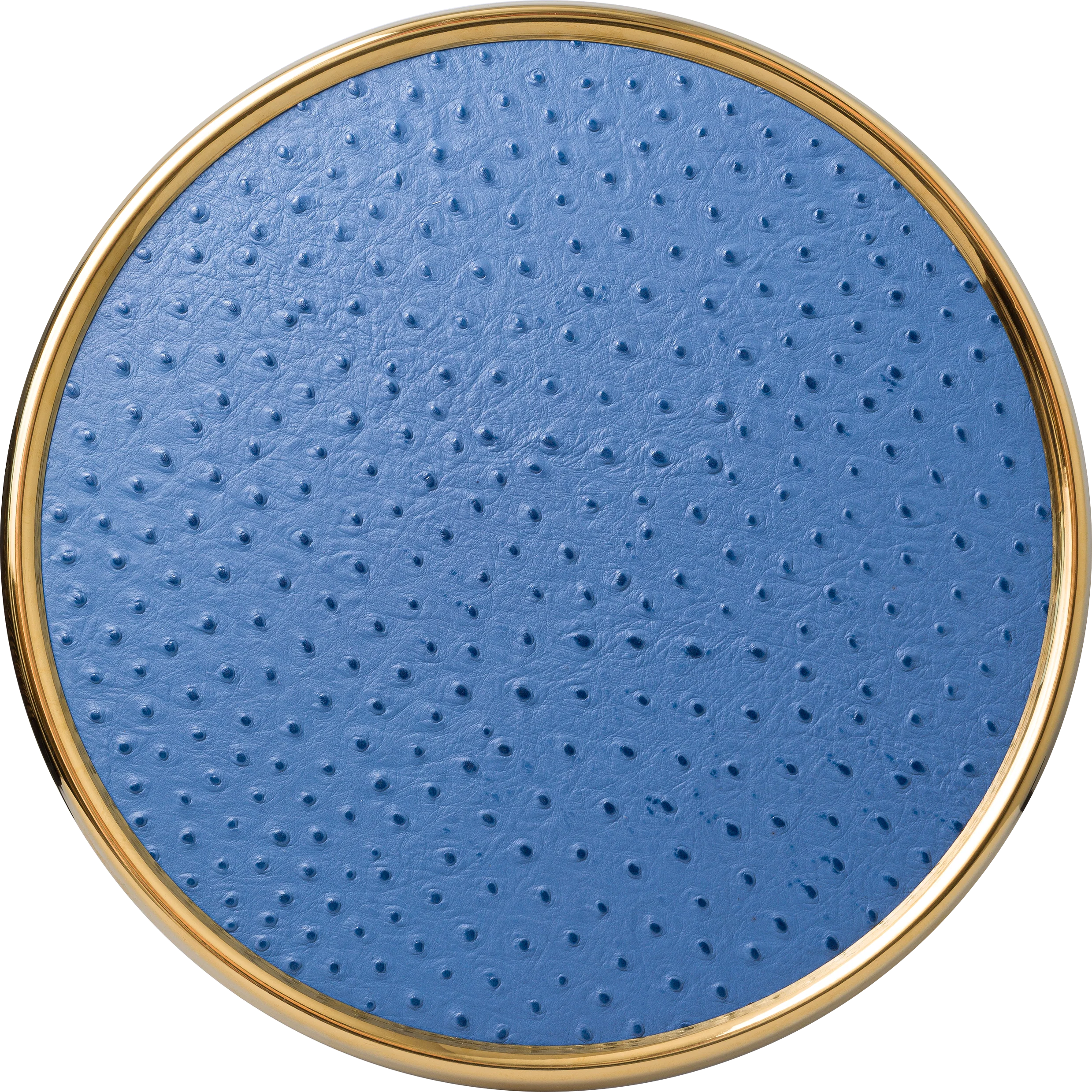 Bebe Mavisi Deve Kuşu Deri  Supla ve Kahve Tepsi