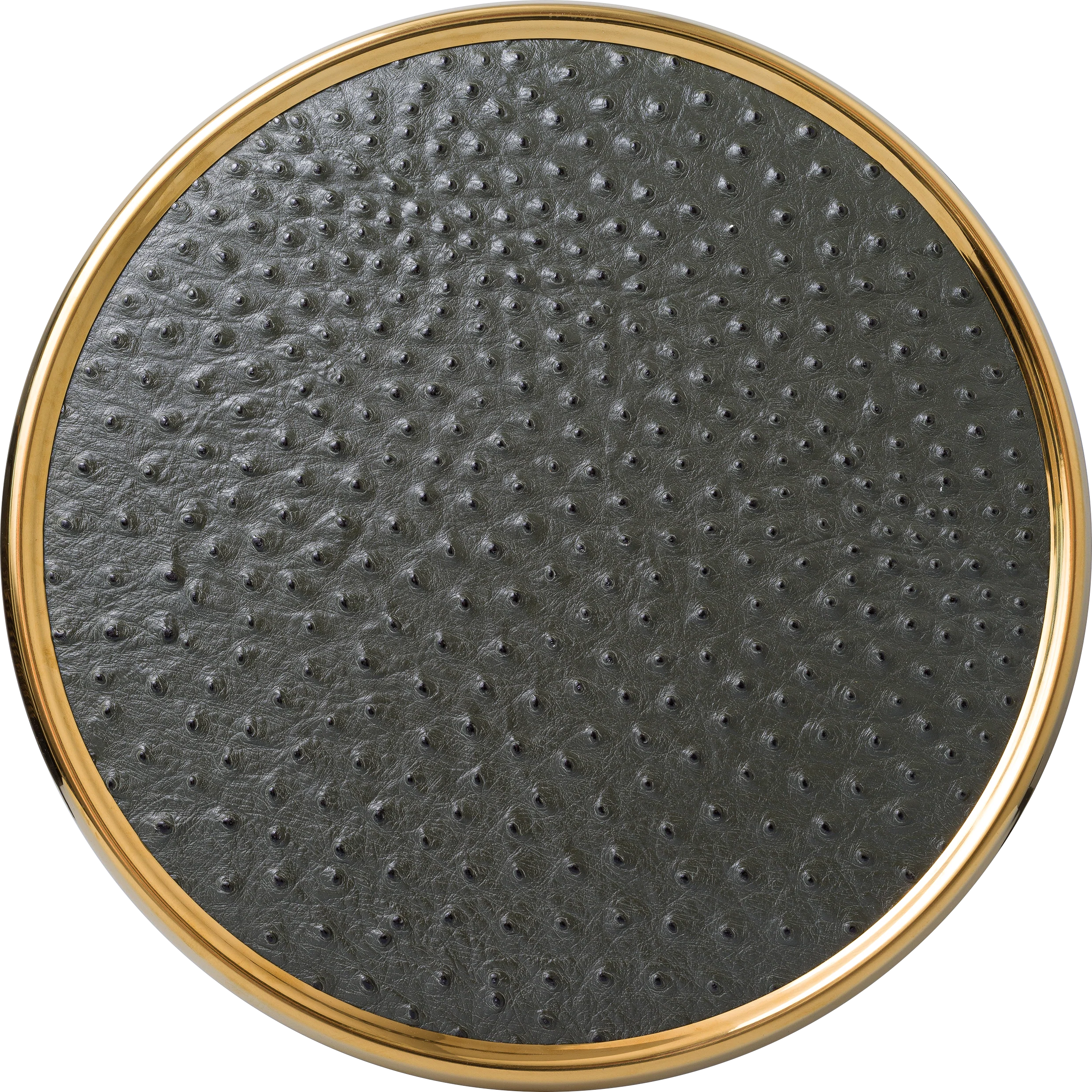 Haki Yeşil Deve Kuşu Deri Supla ve  Kahve Tepsisi