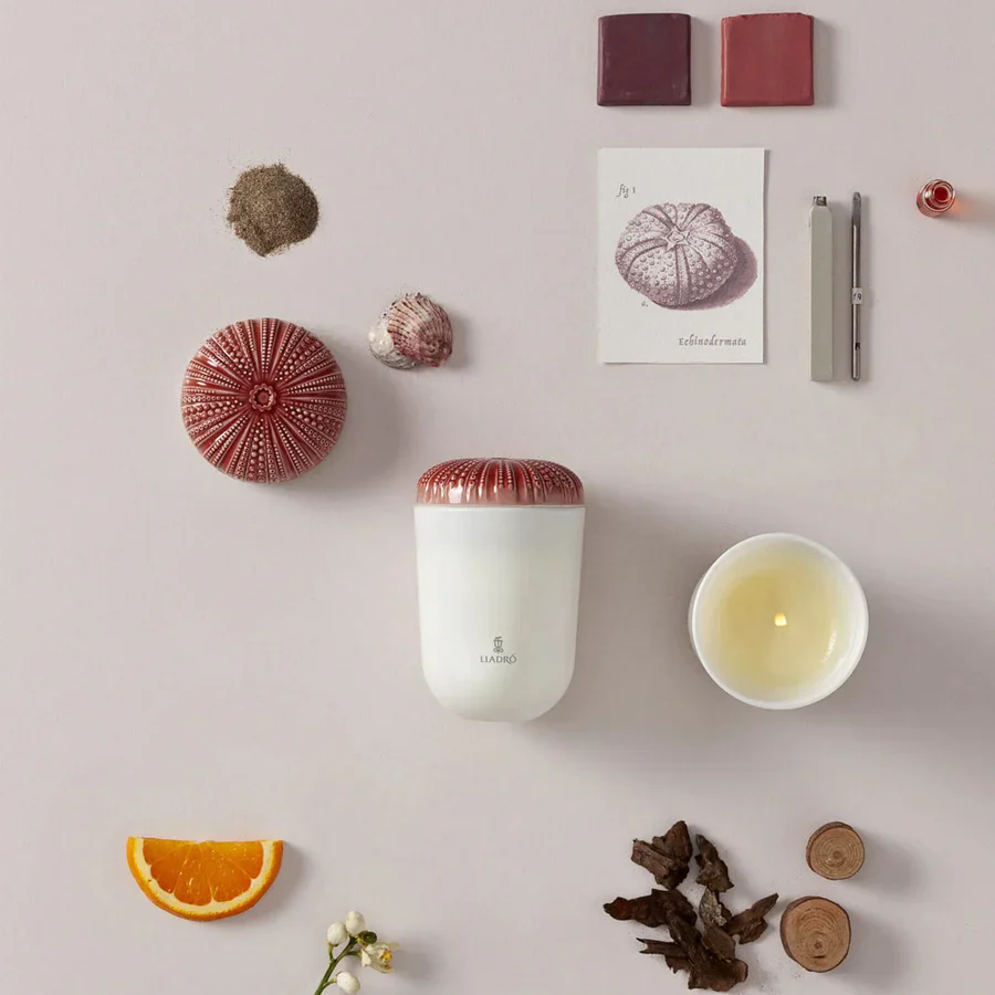 Doğanın Yankıları Akdeniz Sahili Kokulu Mum