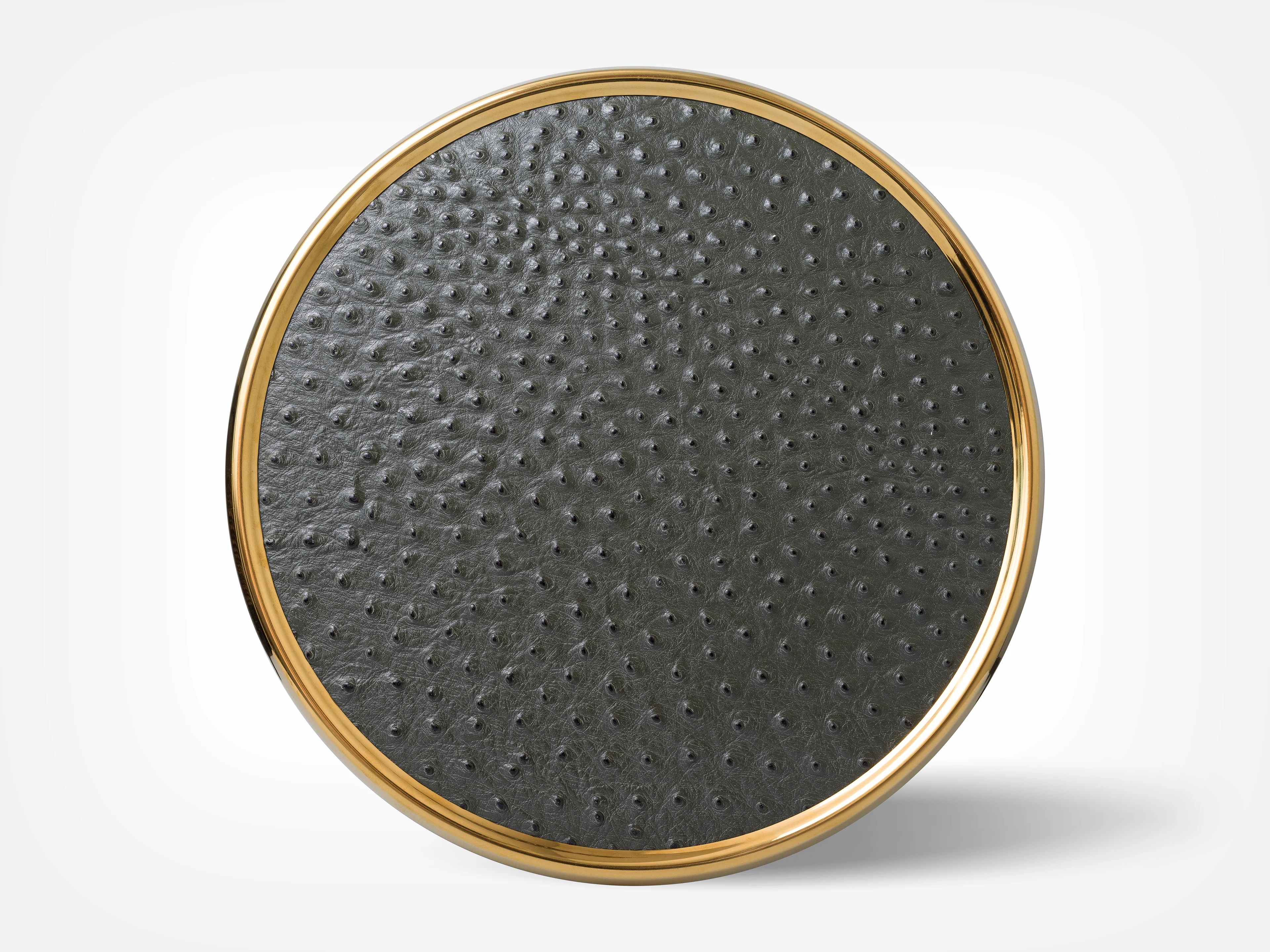 Haki Yeşil Deve Kuşu Deri Supla ve  Kahve Tepsisi