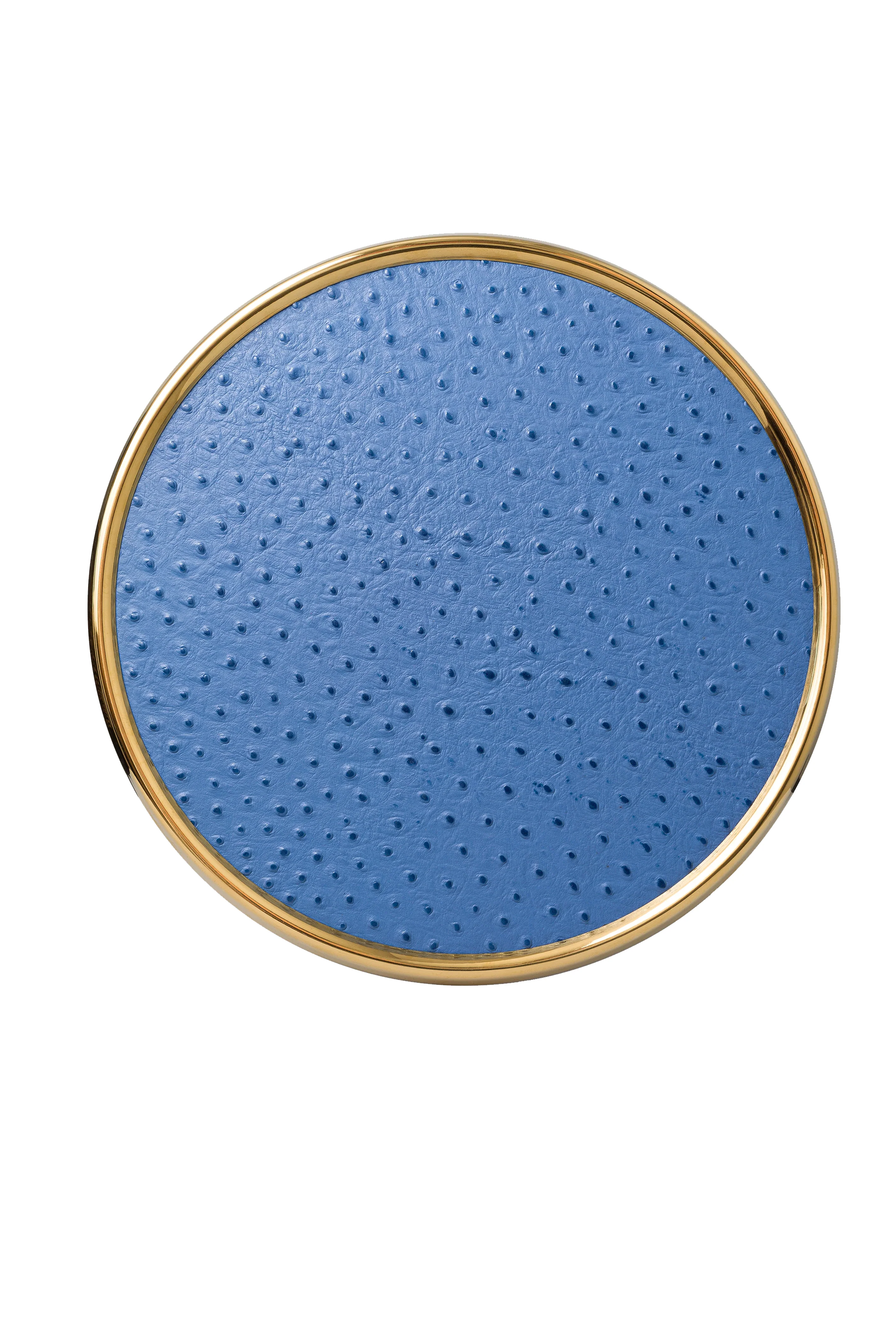 Bebe Mavisi Deve Kuşu Deri  Supla ve Kahve Tepsi