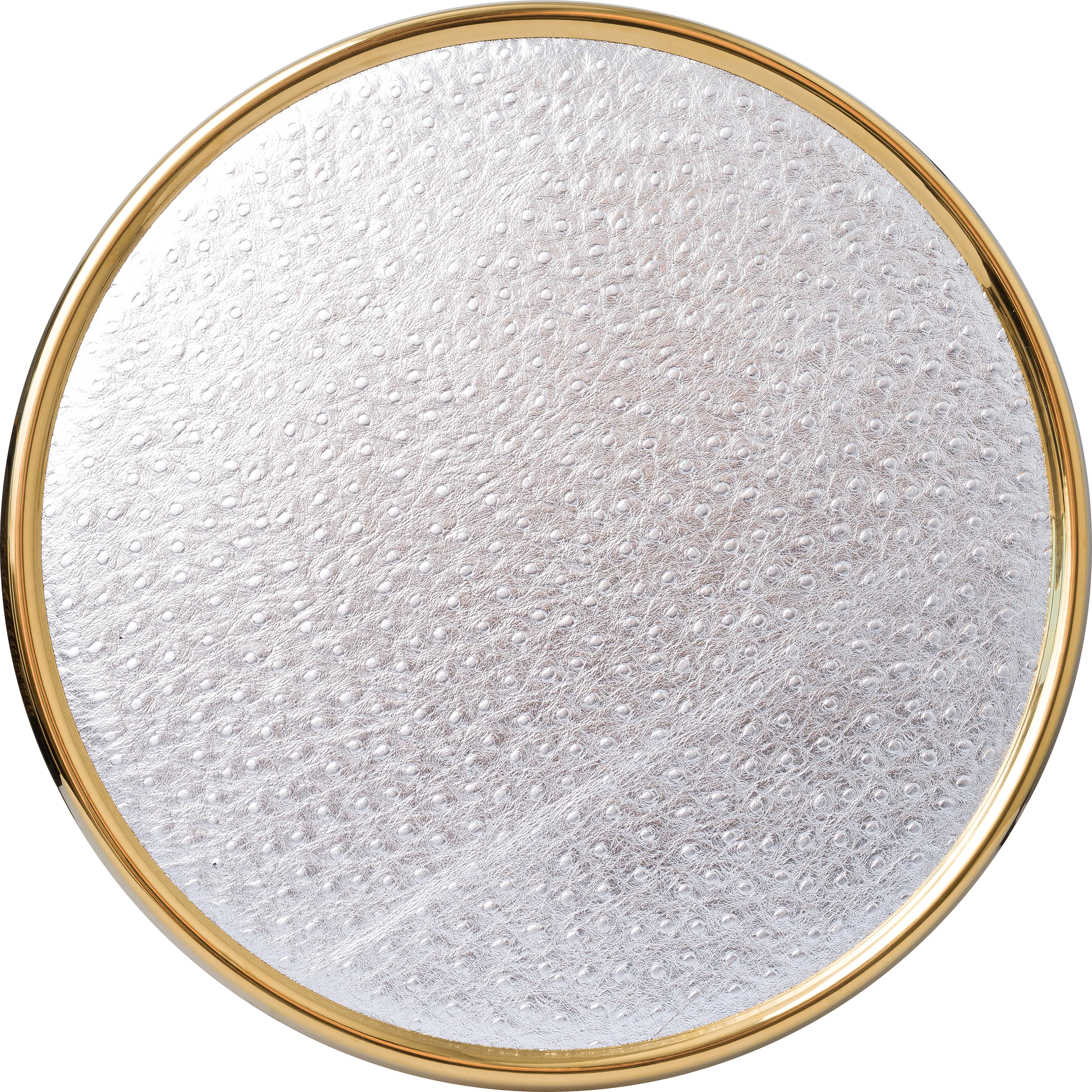 Gümüş Parlak Deve Kuşu Deri Supla