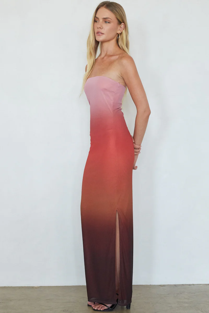 Treasure Ombre Mesh Maxi Dress