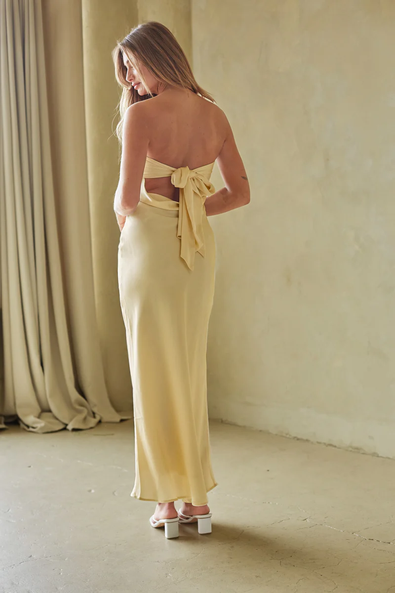 Britt Strapless Tie Back Maxi Dress