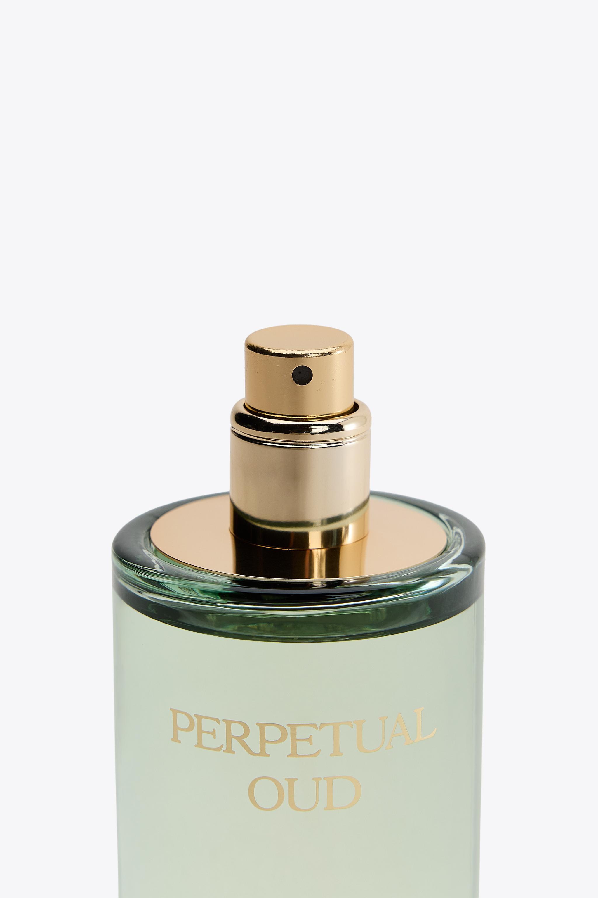 PERPETUAL OUD EDP 50 ML (1.7 FL. OZ).